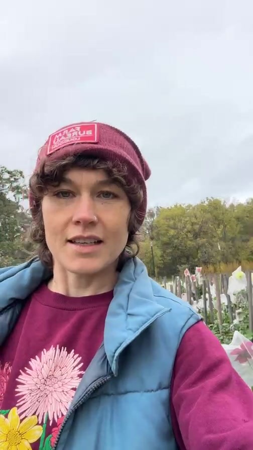 Come visit our farm this weekend for the #loudounfarmtour! We’ll be open Saturday the 18th, and Sunday the 19th from 10- 4 both days!
See ur working farm in action as we flip beds from fall to spring, see out newest high tunnel in progress and buy some Dahlias and fall blooms to take home!
See you there!
@loudounvafarms #localflowers #flowerfarmer #farmerflorist #sustainableflowers #loudounfarmer