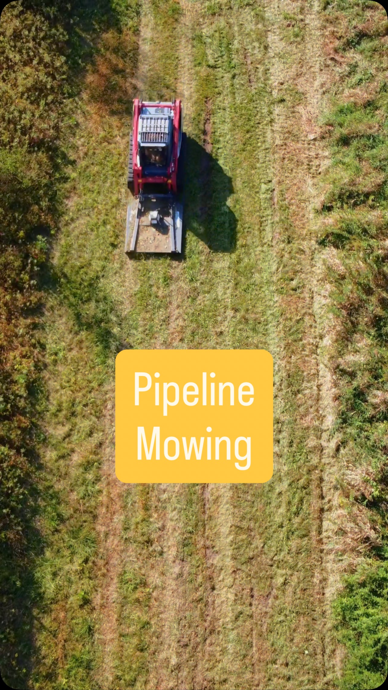 Keeping right-of-ways safe, accessible, and looking sharp.
Pipeline mowing by Prime Habitat Management — reliable service you can count on to keep infrastructure clear and protected.
#PipelineMowing #RightOfWayMaintenance #LandManagement #PrimeHabitatManagement #IllinoisLandClearing