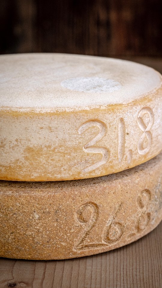 K Ä S E roboter
Ein zuverlässiger und meist motivierter Käseroboter, unsere Bäuerin...🤣
#langwies #biohof_rofel #arosa #schanfigg #landwirtschaft #regionplessur #fondei #vombuur #bauernhofleben #buure #vommilchbuur #alpkäse #käsepflege