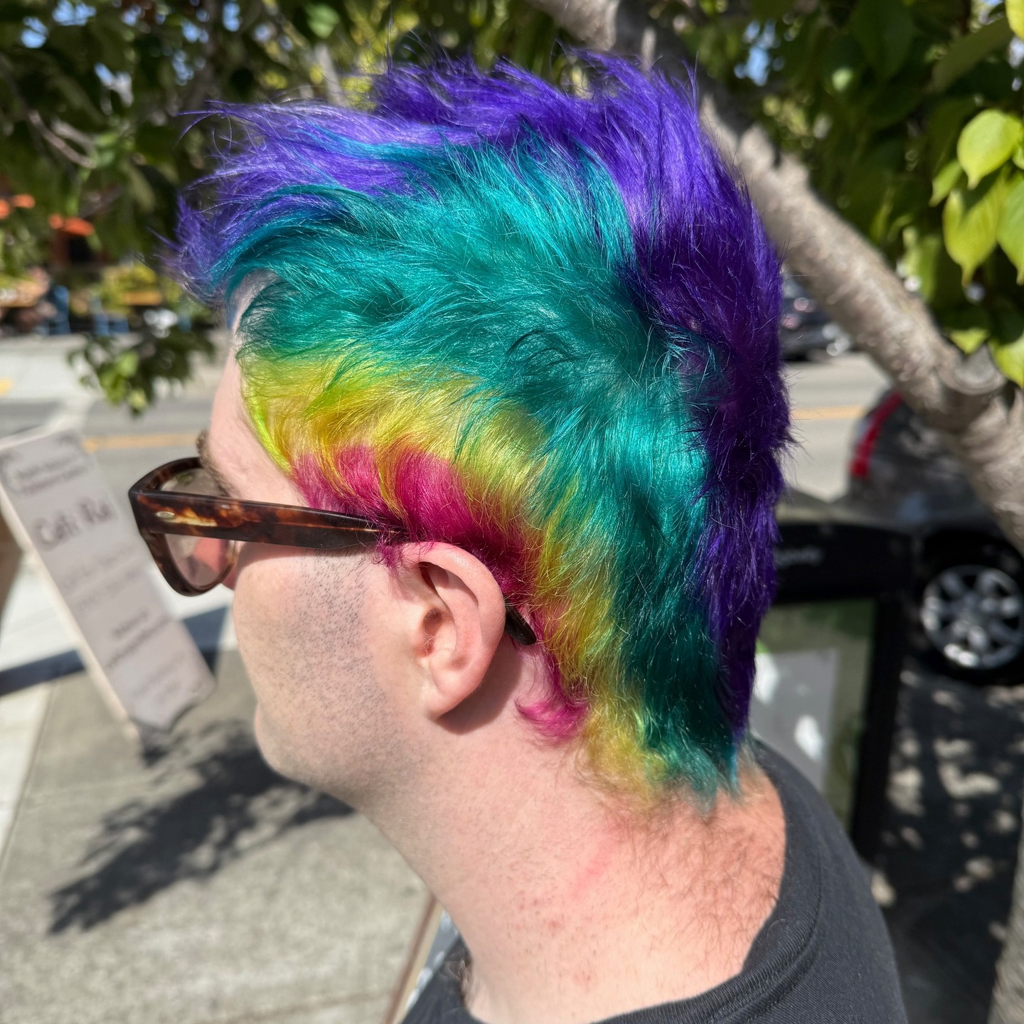 Rainbow creativity, shining in the Albany sun.