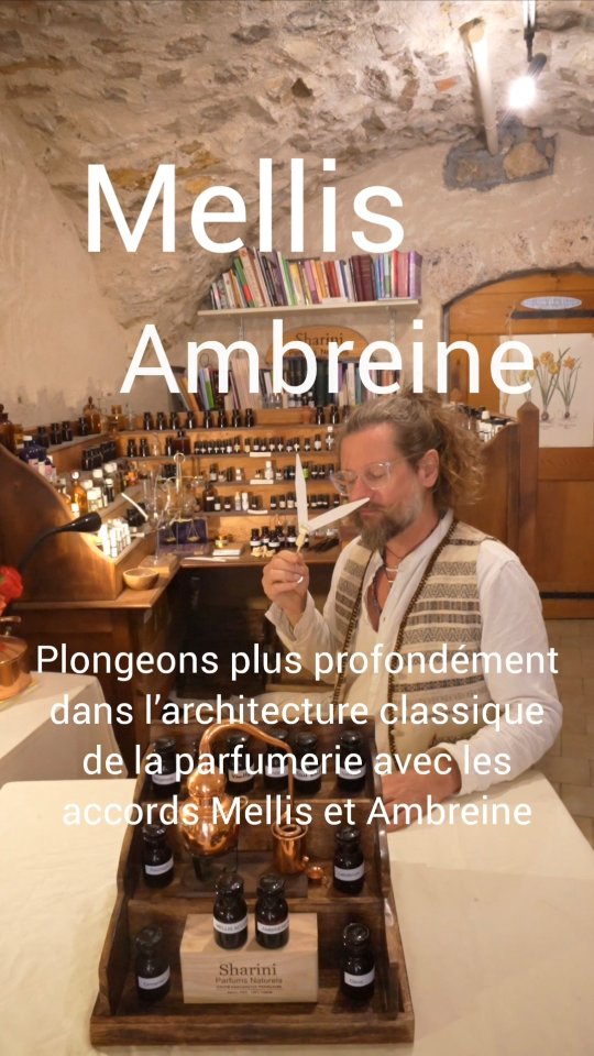 Accord Mellis
Notes : Patchouli, Fève Tonka, Ylang-Ylang (Lisylang), Vanille CO₂, Cannelle, Clou de Girofle et Baume de Tolu.
Accord Ambreine
Notes : Bergamote, Absolue de Fève Tonka, Civette, Vanille, Benjoin et Labdanum.
Les accords sont disponibles sur le site sharini.com — parfaits comme bases prêtes à l’emploi ou comme sources d’inspiration pour vos propres créations de parfums naturels.
#shariniparfumsnaturels #perfumer
#naturalperfume #parfumnaturel
#botanicalperfume #parfumbotanique
#perfumemaking #créationdeparfum
#perfumeeducation #educationparfum
#perfumeworkshop #atelierparfum
#fragranceformulation #formulationdeparfum
#learnperfumery #apprendrelaparfumerie
#aromatherapyperfume #parfumdaromathérapie
#perfumeschool #ecoledeparfum
#perfumecreator #créateurdeparfum
#perfumeaccords #accordsdeparfum