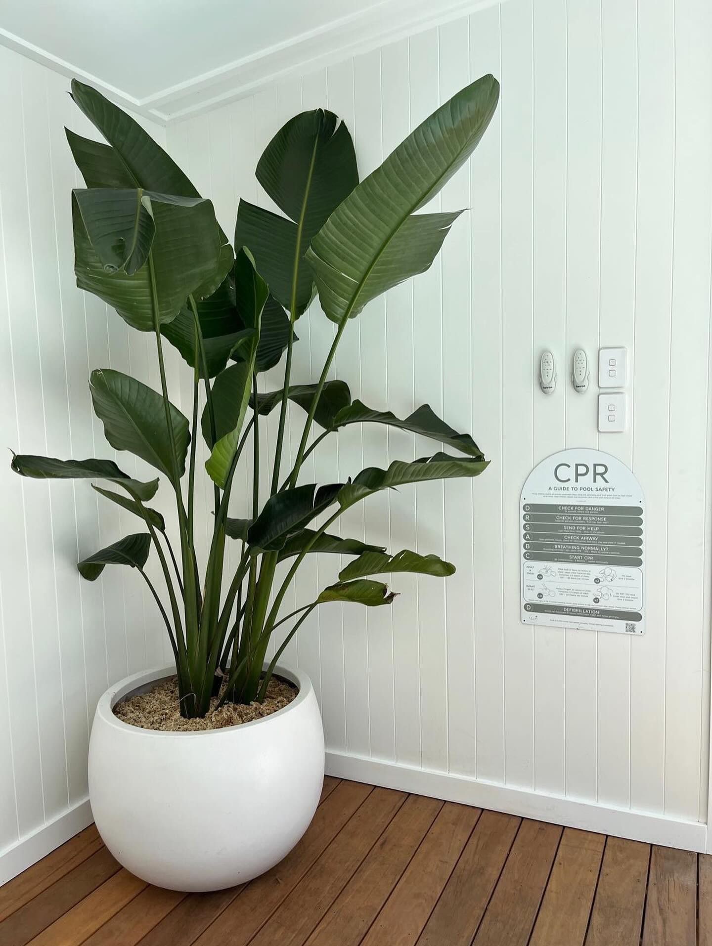 Time to style your pool area for summer! Make it safe and stylish!