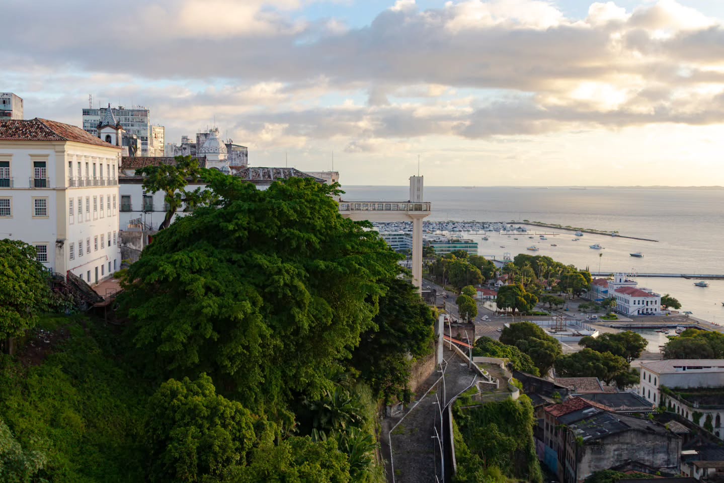 Um amor chamado Salvador.