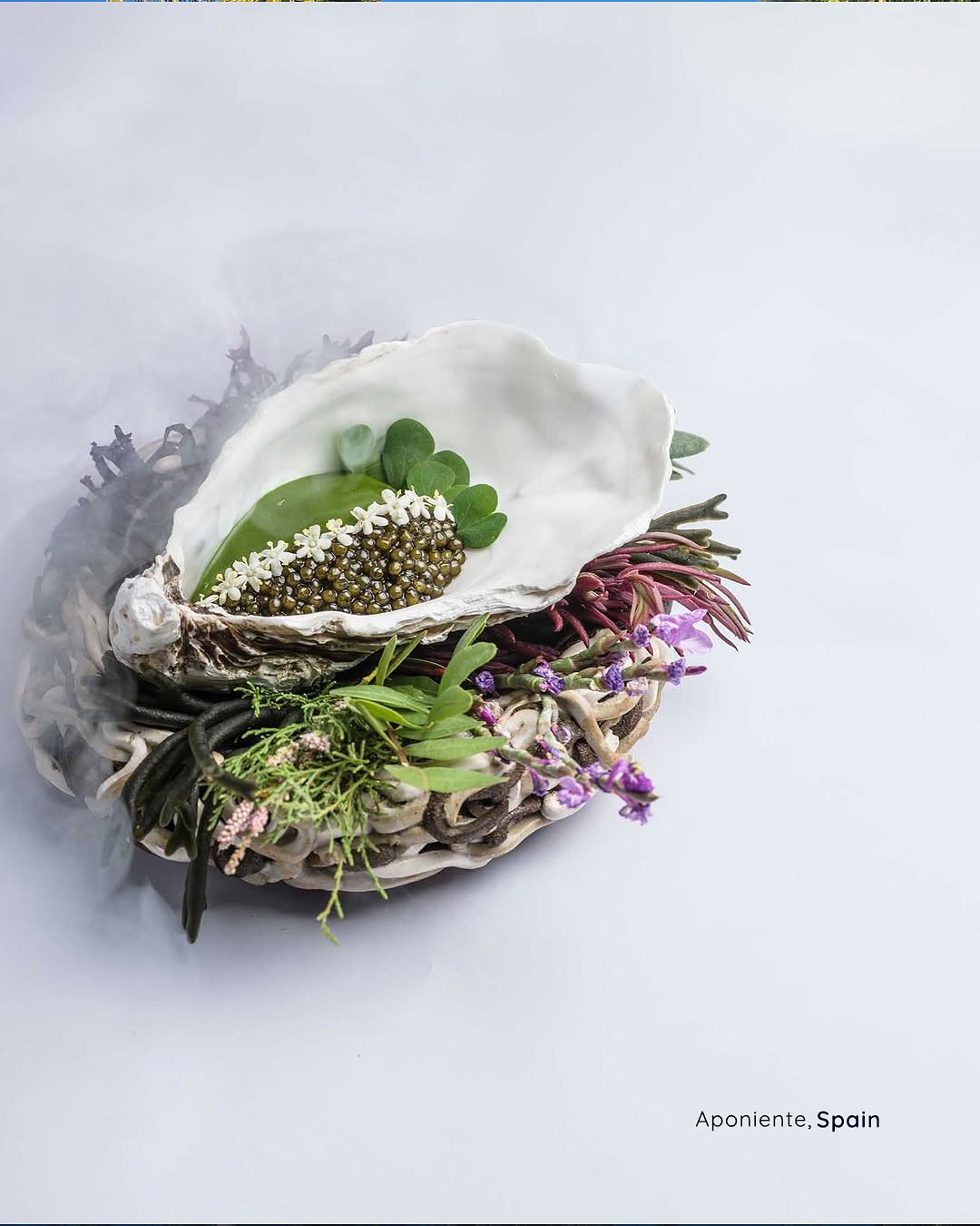 Around the world, five extraordinary restaurants are redefining gastronomy by embracing innovation and zero-waste practices.
Aponiente, Spain (@aponiente_angel_leon): Angel León’s Aponiente elevates seafood cuisine with innovative, zero-waste practices, honoring the bounty of the sea while protecting it for future generations.
Tanaman, Indonesia (@potatoheadbali): Nestled in vibrant Bali, Tanaman transforms locally sourced ingredients into creative dishes that celebrate the island’s flavors while minimizing food waste.
Brae, Australia (@braerestaurant): At Brae, every plate reflects a commitment to the earth. Chef’s meticulous approach to seasonal produce and sustainable techniques turns each meal into a thoughtful, immersive experience.
Fyn, South Africa (@fynrestaurantcpt): Fyn blends South African ingredients with contemporary techniques, crafting dishes that are as visually stunning as they are sustainably sourced.
Salvo Patria, Colombia (@salvopatria): Salvo Patria reimagines Colombian cuisine with a mindful approach, turning local ingredients into bold, inventive dishes that reflect both culture and conscience.
These restaurants are more than dining destinations, they are experiences where flavor, creativity, and sustainability converge, proving that culinary excellence and environmental responsibility can go hand in hand.
#LeBoulevardierTravel
#ExploreTheWorld
#Gastronomy
#SustainableDining