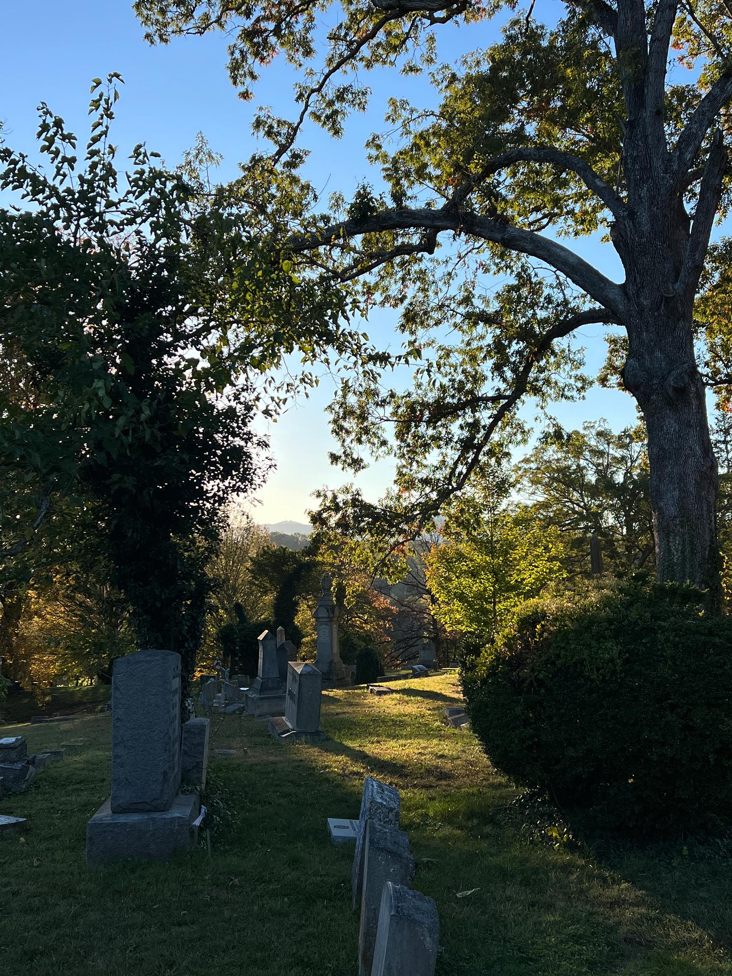 A place I love and visit frequently
And a clip of the most recent single 🍂
#cemeterylovers #originalmusic #galadriel #fantasymusic #cemeteries #newmusic #lotr #thefellowshipofthering