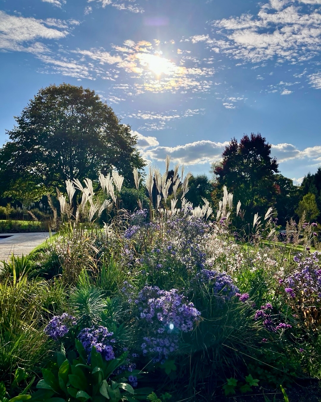 We’re really enjoying working with Architects @gould_baxter on this large country garden in Sussex. It’s a major refurb, and unusually, the landscapers were on site first!
We’ve begun shaping the lower areas of the garden, with the pool, planting, tree planting and meadow paths already underway. We’ve used British stone and a naturalistic planting scheme that feels simple and timeless. We are also planting lots of native hedgerows and trees as the brief is all about strengthening ties to the beautiful surrounding landscape of the Ashdown Forest. The house is now being part-demolished and rebuilt by @bjbabbltd and our landscape contractor @mcnaughtons_landscaping will return next year to complete the landscaping around it.
We’re super excited about this project and can’t wait to show you the end result!
⸻
ABOUT: Joe Perkins Design is a multi-award-winning landscape design consultancy, creating innovative outdoor spaces that celebrate the environment, wildlife, and biodiversity. Working across the UK and internationally, we partner with clients who share our passion for sustainable and visionary design. Discover more about our work at: www.joeperkinsdesign.com