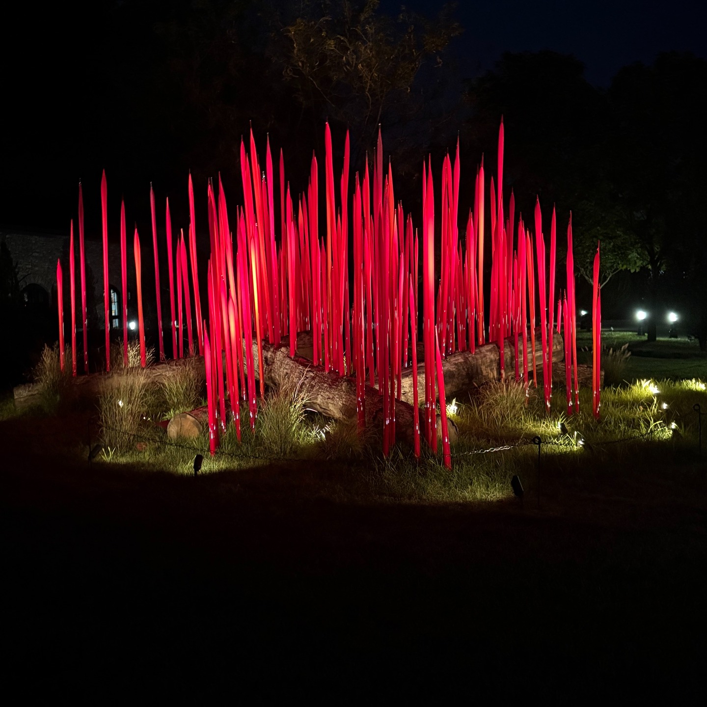 Fall has spread it's blanket over this beautiful planet Earth. Have you noticed?
A heartfelt poem about the organic changes happening all around you.
Love this poet!
Rosemary
******************************************
One Day by Kristin Bolton
One day,
when you walk outside,
everything has changed.
The leaves,
which had been holding green,
have started the great fires of autumn
and will burn merrily
until the last leaf has fallen,
turned black and heavy in November rains.
The last tomatoes will split
and dessicate, shrouding seeds
with the sugar sweetness of the flesh.
And the great tides of winter
will rise to swallow the light and make
the sky a perfect darkness pierced by starlight.
But for now
we can only see the inner light
of trees shining out in their true colors,
all the sun
they absorbed since last May beaming out
through the stained glass of their leaves.
We must forget
that we already know
the end of this story.
Suspend disbelief.
Watch each leaf fall,
a little fire drifting down from the maple
to rest-
a beacon
on the paths we walk every day
asking us
to remember how in any moment
the ordinary becomes incandescent
how our own hearts too
can shine, full of light, even
as we lose what is most precious.