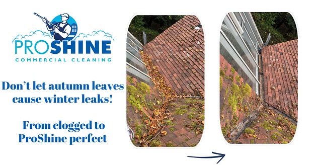 Another day, another set of gutters rescued from a full-on leaf takeover! 😅
It only takes a few blocked gutters to cause serious water damage 😅 But a quick ProShine clean keeps everything flowing freely.
📸 Swipe for that satisfying before-and-after!
✅ Leaf build-up cleared
✅ Gutters flushed and spotless
✅ Ready for winter rain
💻 Book now at proshinespecialisedcleaning.co.uk