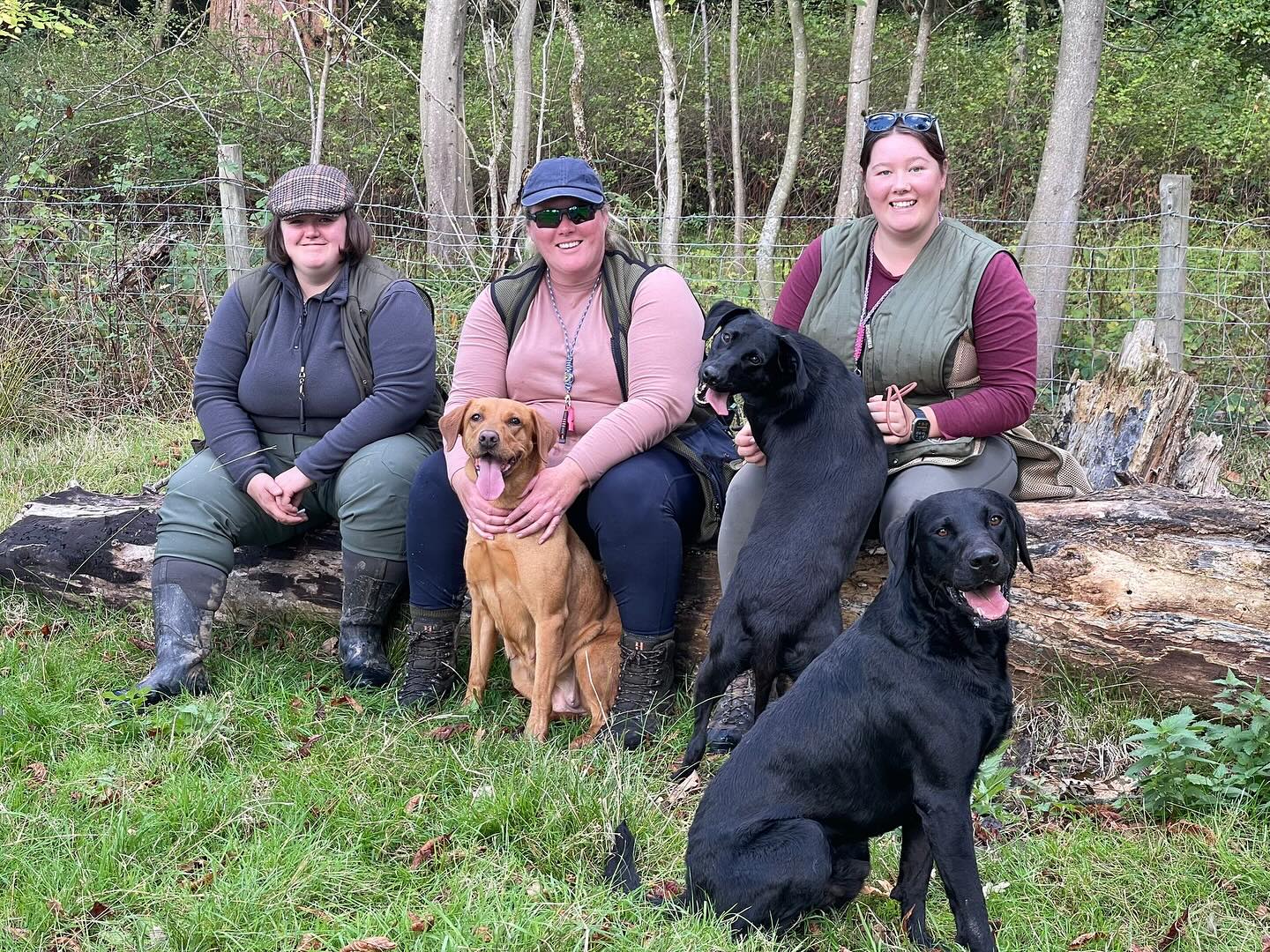 #hearnoevilseenoevilspeaknoevil - well, something like that! 😂 Great photo taken at a fun day out training together with our youngsters and the more experienced dogs. We had such a nice time. It’s so nice to train with friends. Catch up with each other and help each other along. We are already looking forward to next summers working tests where we get to meet up with everyone and see how they are progressing with their dogs
L—R Charlotte, Laila and Poppy.
#lab #labradorretriever #labradorsofinstagram #foxredlabpuppy #birddog #gundog #puppy #dogsofinstagram #workinglab #dogtraining #girlswithgundogs #trainingday #training