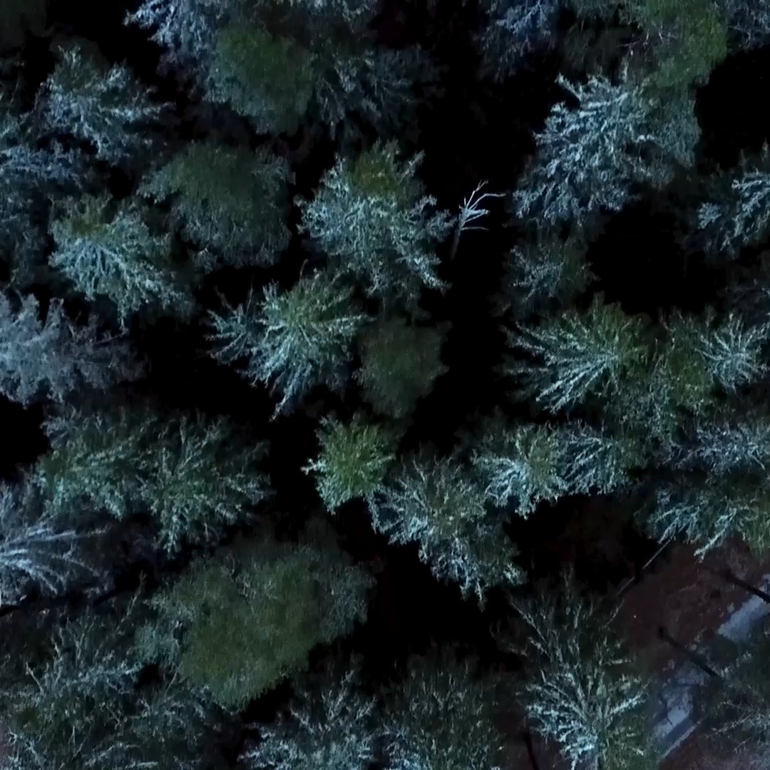 Traditionen lever vidare!
Lördagen den 1/11 kör vi återigen en härlig förmiddag på Isaberg fylld med träning och gemenskap. Häng med på ett pass där du kan springa, gå – eller bara komma och heja på!
Efteråt bjuder vi på kaffe och tilltugg, och delar lite snack om laget och vad som väntar inför säsongen.
Samling 09.30 vid skiduthyrningen
Anmäl dig gärna via DM
Vi ses där – det här vill du inte missa!
@gohlins @klubbenbygohlins @eabdethaller @hestragloves @hestrainredningarab @garoplatprodukter @garo_emobility_sverige @isabergstoppen @hangonab @axelent_sverige @everbrandswedenab @ehconnector @eleikosport @thule @gnosjoror @gnosjoandan @aerollerskis @leki.nordic @atomicnordic @umarasports @visitgnosjo