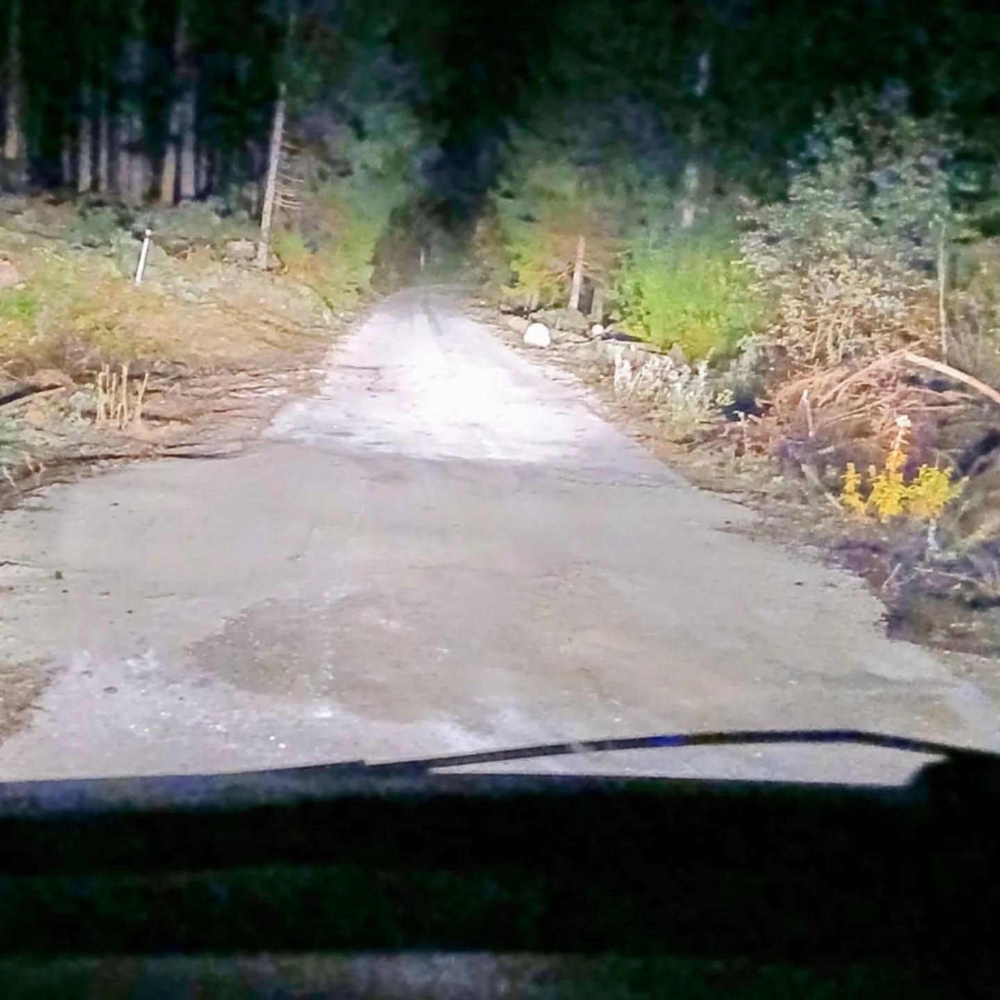 Vielen Dank an Rupert und Herbert!
Die Zwei haben in einer Nachtschicht die Straße wieder in Stand gesetzt!
Jetzt kann ma wieder wie gewohnt zu uns am Trattberg fahren!
Liebe Grüße
Andrea und Klaus
#handwerker #salzburg #salzburgerland #trattberg #danke #wanderlust