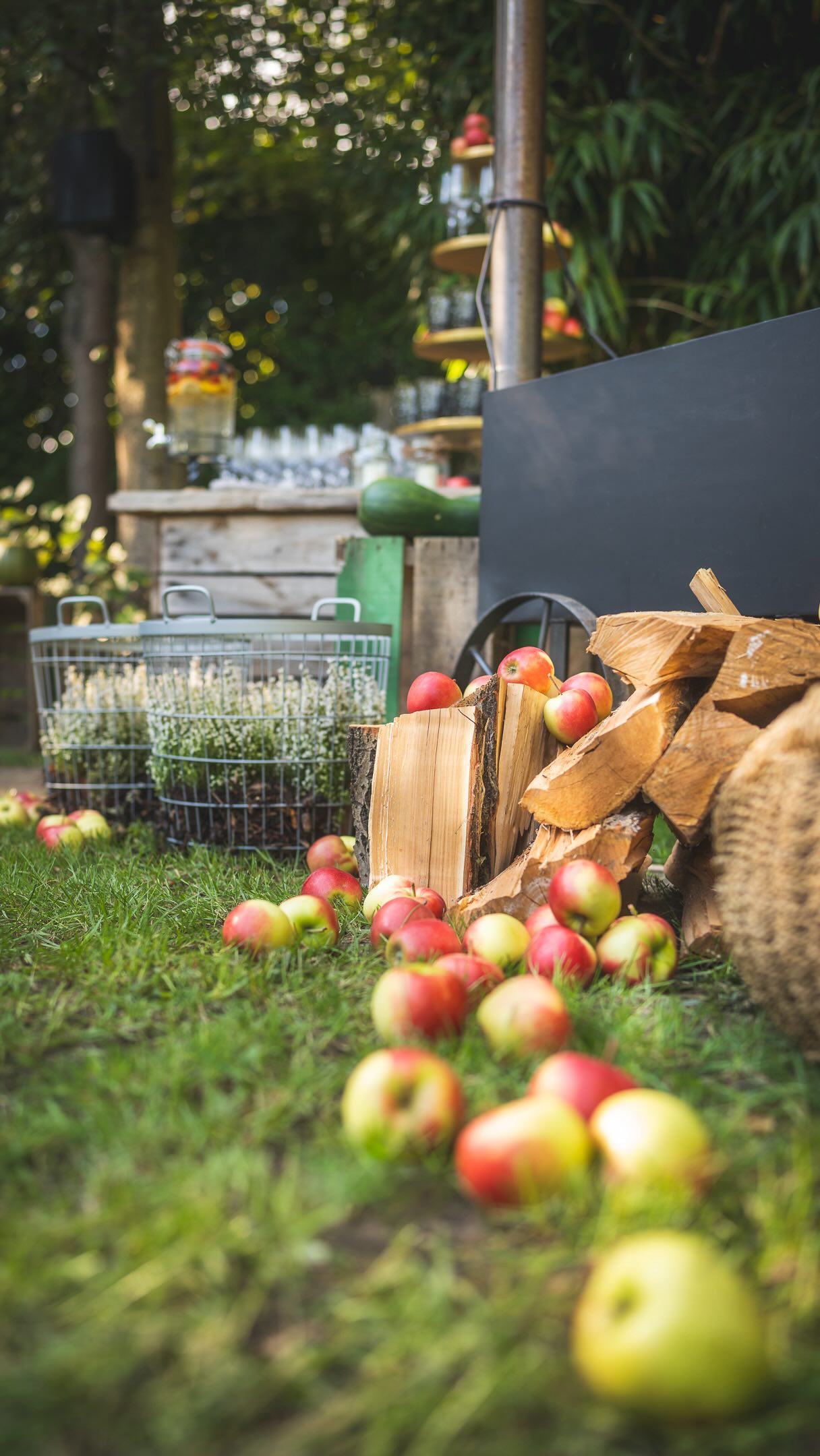 Weet je wat wij zo speciaal vinden aan ceremonies in het najaar...
Het licht is zachter, de kleuren intenser en de sfeer raakt je zonder dat je ’t doorhebt: zacht, maar raak.
Met knisperende vuurtjes, kaarsen die het bos laten oplichten en dekentjes voor dat extra tikkeltje geborgenheid.
Een moment dat helemaal van jullie is, gedragen door de rust van het seizoen. 🍂