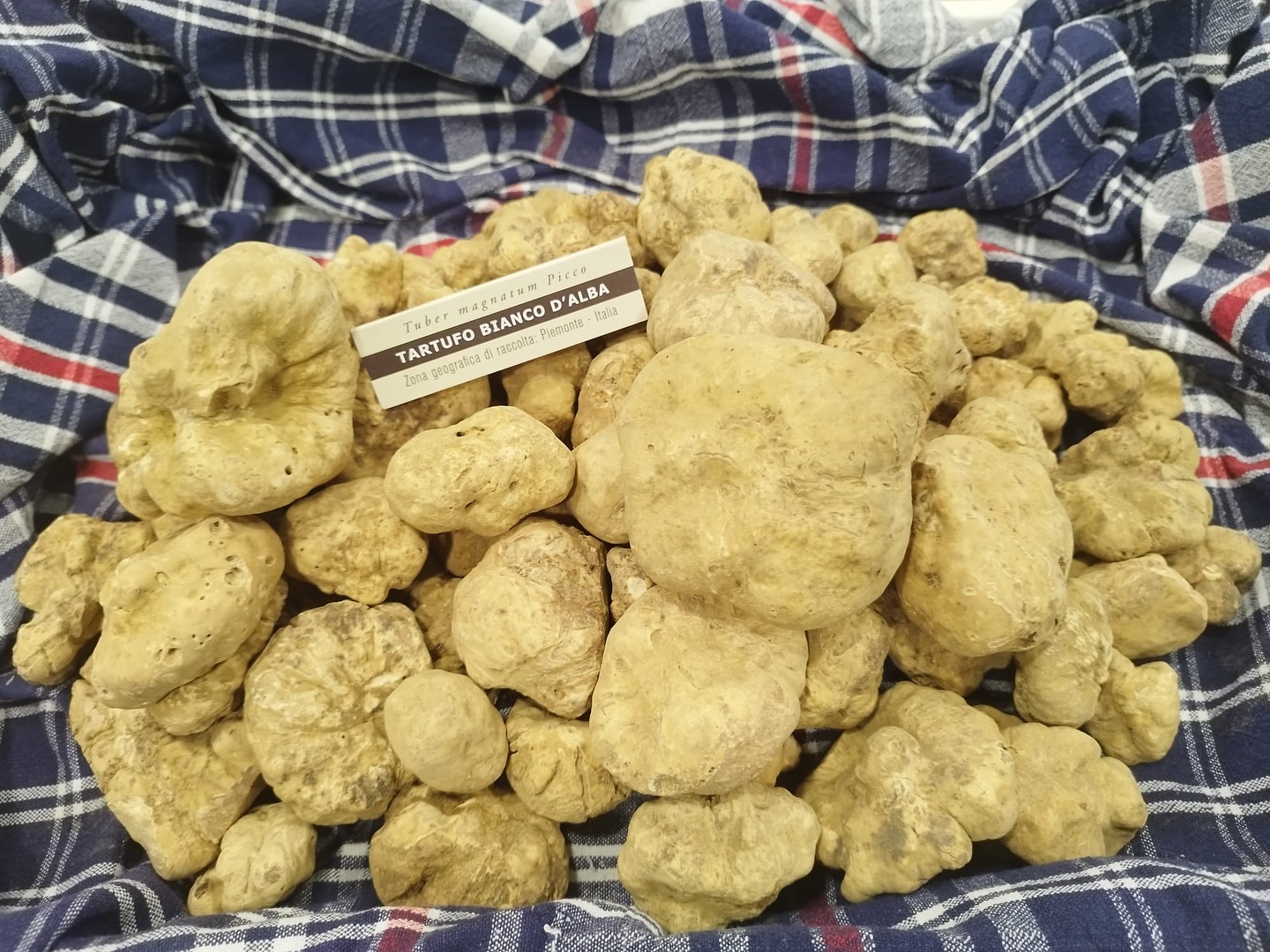 Tartufo Bianco d Alba available#besttruffles#imports#usa#piemonte#