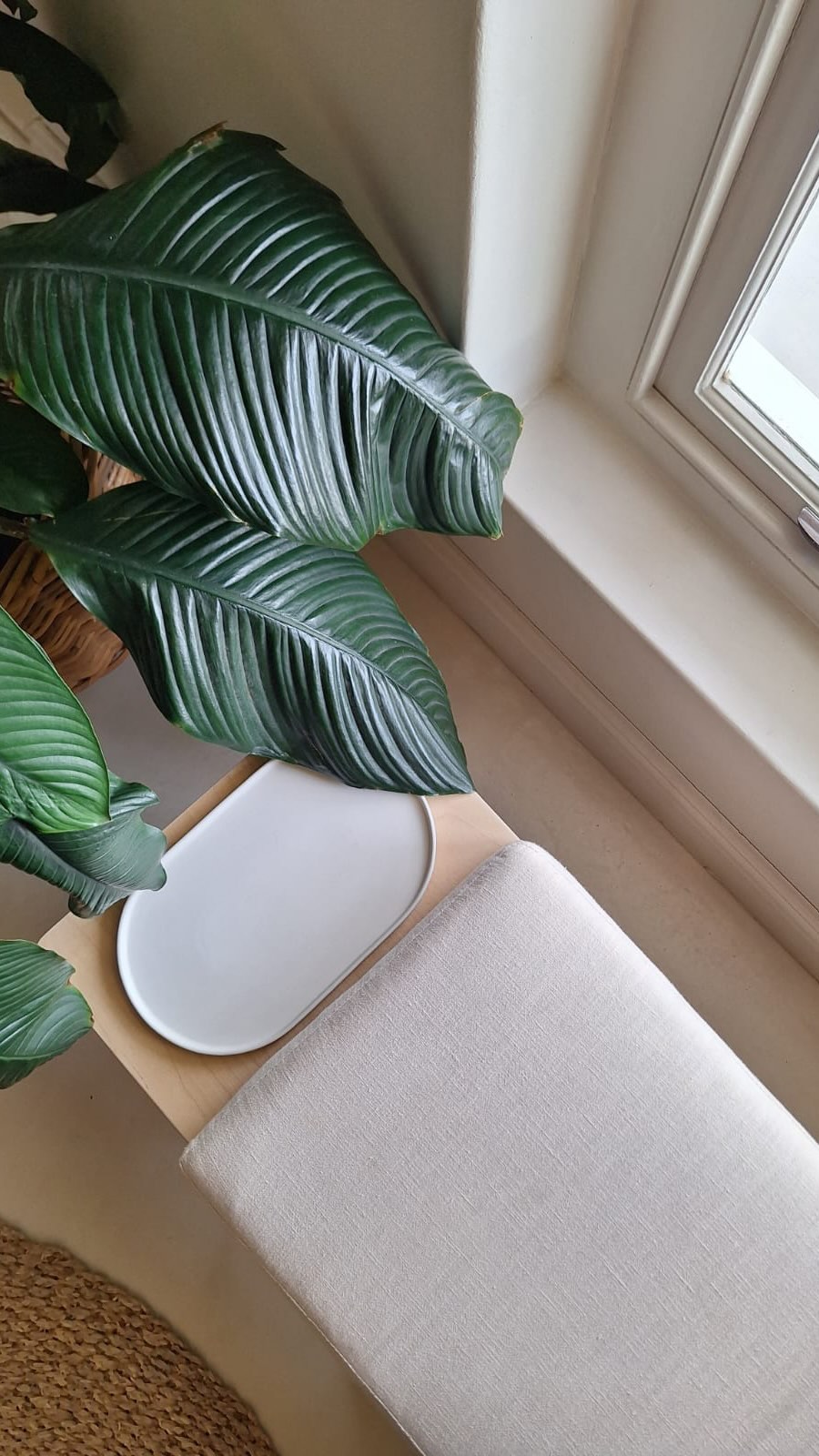 Rituals, not rush 🌿
As we turn the page into the final months of 2025, take a breath and make space for you – to slow down, to restore, to simply be.
Moments for self-care don’t just happen; they’re chosen. November, December, and January are filling fast. Book your time for rest and renewal before the world asks for more of you 🤍
#Lyftaal #Sanctuary #Paarl