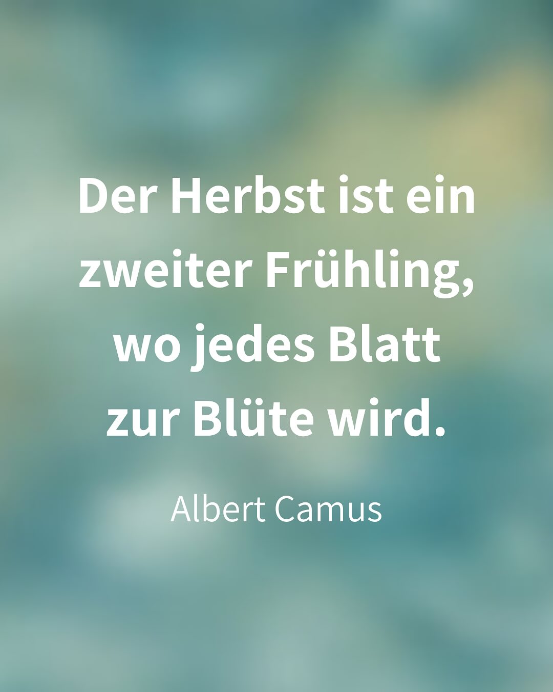 🍂DER HERBST MACHT MICH WEHMÜTIG.
Ja.
Denn Herbst heisst loslassen.
Vom Sommer.
Von der nach aussen gerichteten Kraft.
🍁ZUGLEICH BIRGT ER EINE INNERE FREUDE IN SICH.
Eine wahnsinns Farbenpracht.
Und mehr als das.
🧘DENN LOSLASSEN KANN BEFREIEND SEIN.
Auch das Loslassen vom Aussen.
Die Erlaubnis einer vermehrten Einkehr nach Innen.
❤️DAS IST ES, WAS UNSER HERZ BRAUCHT.
Genau wie die Natur. Jedes Jahr aufs Neue.
🥰ZUWENDUNG, GEBORGENHEIT, MITGEFÜHL.
Das möchte ich meinem Herzen schenken.
Dazu lädt der Herbst mich ein.
💌WOZU LÄDT DER HERBST DICH EIN?
Ich bin gespannt, mehr dazu zu erfahren in den Kommentaren.
#herzkraft
#stille
#zeitfürdich
#achtsamkeitsmeditation
#achtsamkeitindernatur
#naturmomente
#naturverbunden
#herbstliebe
MEDITATION
ACHTSAMKEIT
MINDSET
SELBSTFÜHRSORGE
RUHE
STILLE
BALANCE
STRESSMANAGEMENT
SPIRITUALITÄT
HERZWEG
HERZKRAFT
