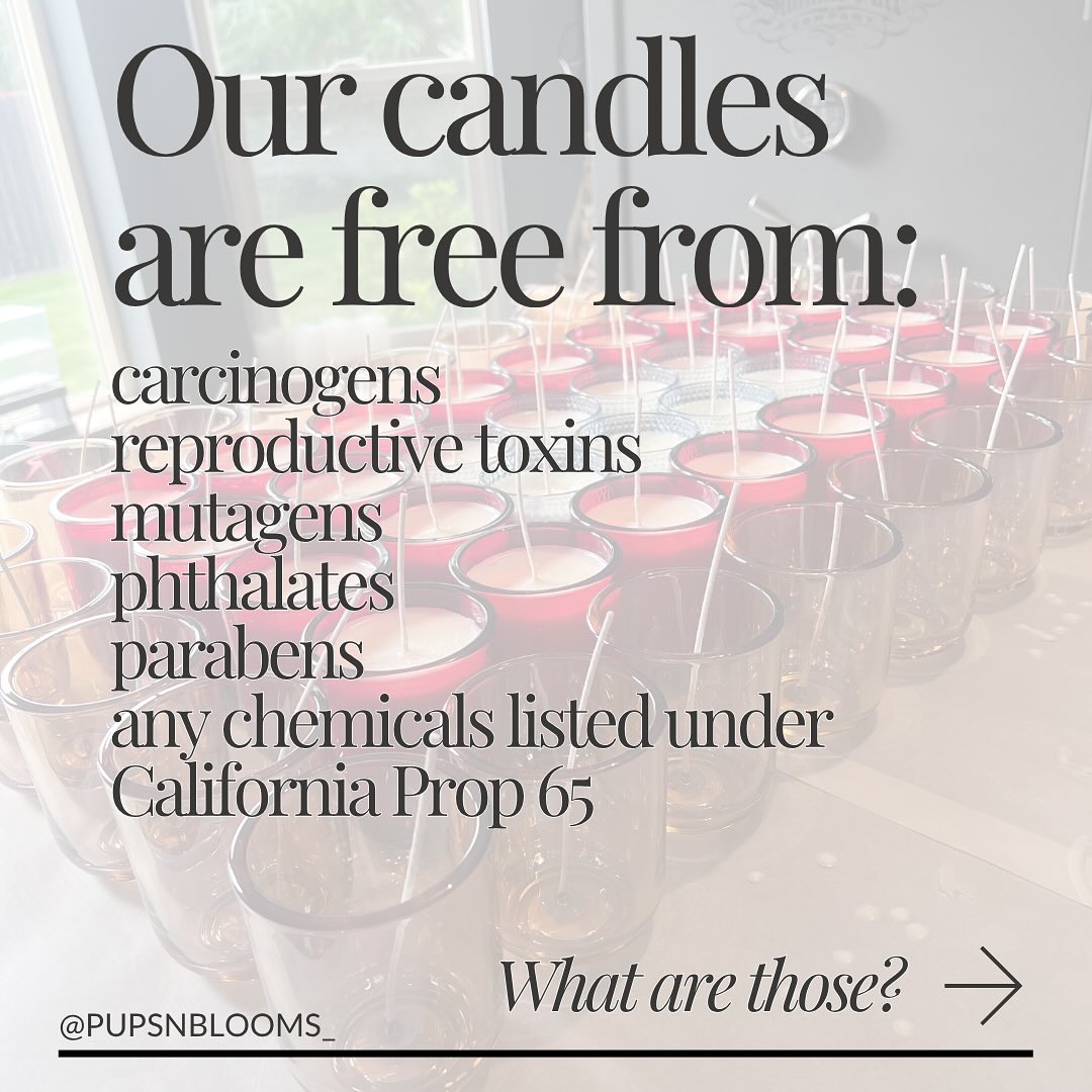 Always non-toxic + vegan + cruelty free.