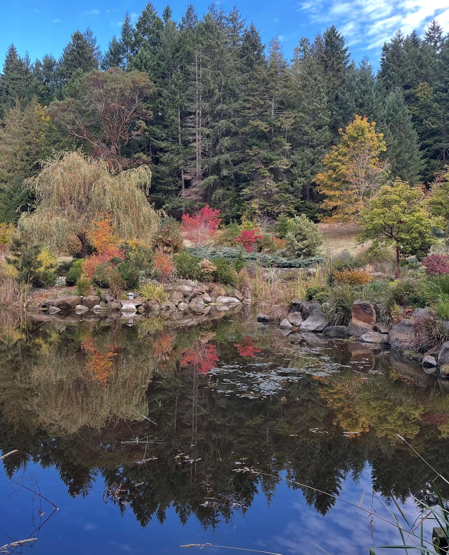 Cool days, warm colours...