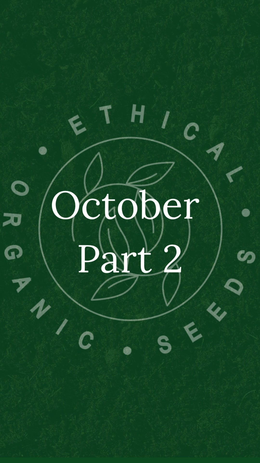 So after last year's successful composting efforts. I tested out store-bought compost against my own, quite lumpy, homemade stuff and the lumpy stuff definitely gave me better results!
And we found a bit of treasure at the allotment 😉
Anyone looking to compost themselves, the best ratio of greens to browns is 3:1
Green material is organic matter, grass, and weeds.
Brown material is wood, branches and leaves.
Give it a go, your garden will thank you 🙂💚
#composting #diycompost #gyo #allotmentlife #allotmentlove #allotmentuk