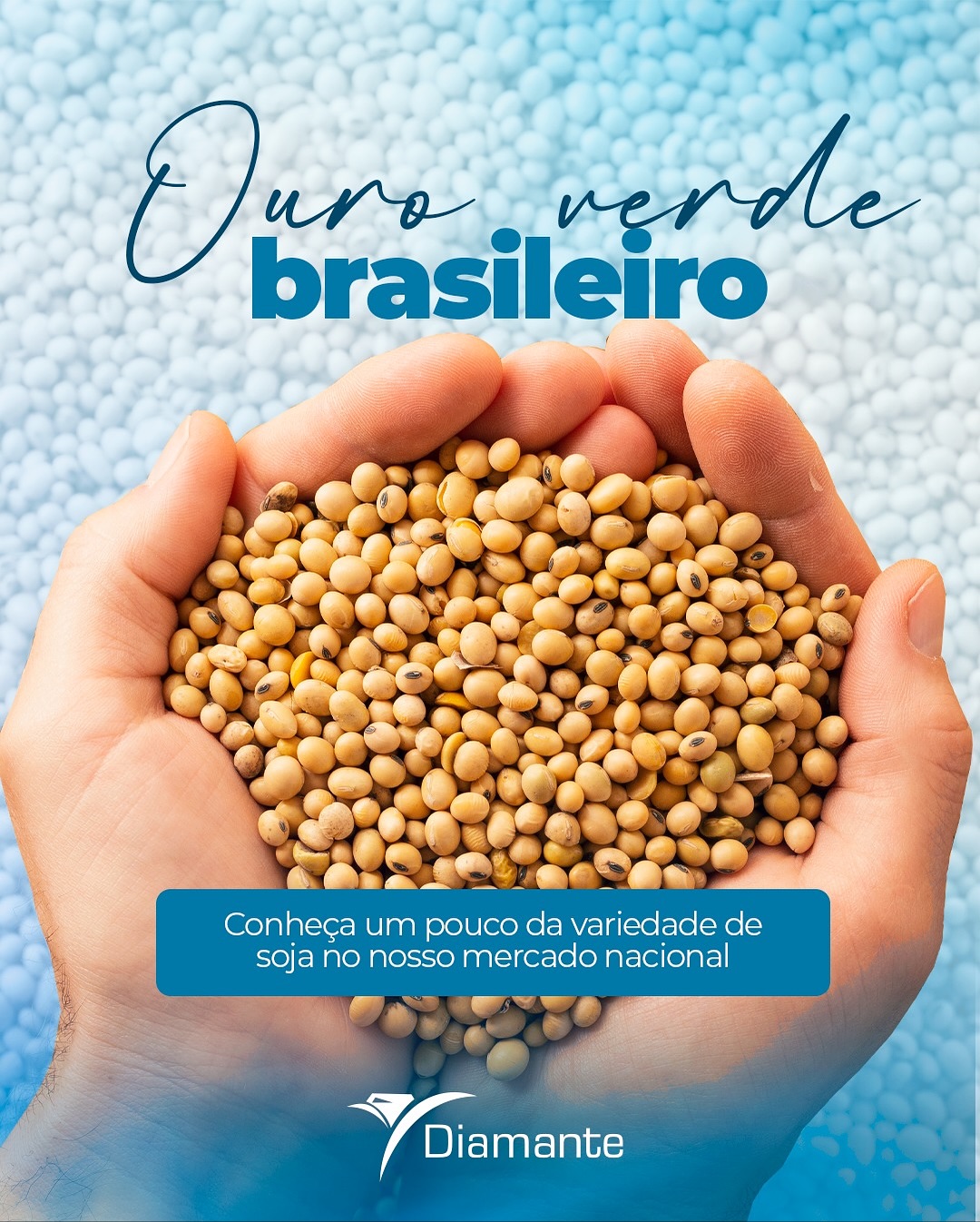 A soja é um dos pilares do agronegócio nacional — fonte de alimento, energia e desenvolvimento
econômico.
🌱 Mais do que uma cultura, ela simboliza o potencial e a força produtiva do Brasil no cenário mundial.
Com tecnologia, manejo eficiente e compromisso com a qualidade, seguimos construindo resultados que
fortalecem produtores e impulsionam o campo.