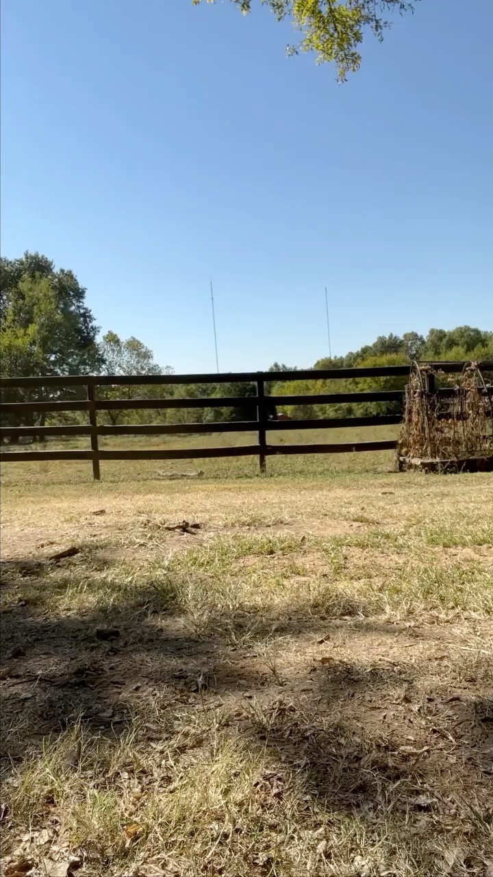 Its getting spooky around here 👻
#spooky #ghost #halloween #dog #duck #bestfriends