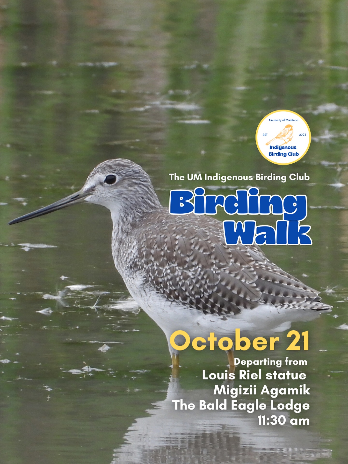 Join us on October 21 for a relaxed, 1.5-hour birding walk that begins at Migizii Agamik – The Bald Eagle Lodge. We’ll gather at 11:20 am by the Louis Riel statue, with the walk starting promptly at 11:30 am. The walk will take us to King’s Park, or another nearby location, at a leisurely pace, allowing us to enjoy the sights along a mix of pavement, grass, dirt, and gravel paths. The terrain is mostly flat, with just a few gentle slopes.
These walks are open to BIPOC (Black, Indigenous, and People of Colour) folks and allies who share our belief that birding is for everyone, regardless of experience. Whether you’re new to birding or a seasoned enthusiast, we welcome you to join. Just dress for the weather and be sure to bring sunscreen and water. If you don’t have your own binoculars, we have some available to borrow.
Our walks are an opportunity to connect with nature, build community, and learn from one another in a relaxed and supportive environment. Feel free to participate at your own pace. There’s no need to stay with the group the entire time, and you’re welcome to come and go as you please.
Accessibility Information:
The walk covers a variety of paths, including pavement, grass, dirt, and gravel, with mostly flat terrain and a few gentle slopes.
Washrooms are available approximately halfway along the walk.
If you need assistance or have specific accessibility requirements, please let us know in advance so we can do our best to accommodate you.
Parking:
Please note there is NO free parking on campus M–F from 8:30 AM to 4:30 PM. Parking is available for a fee in the Parkade and at metered spaces.
We look forward to seeing you there!
Photo: @justinleerasmussen
@umindigenous @um_metis