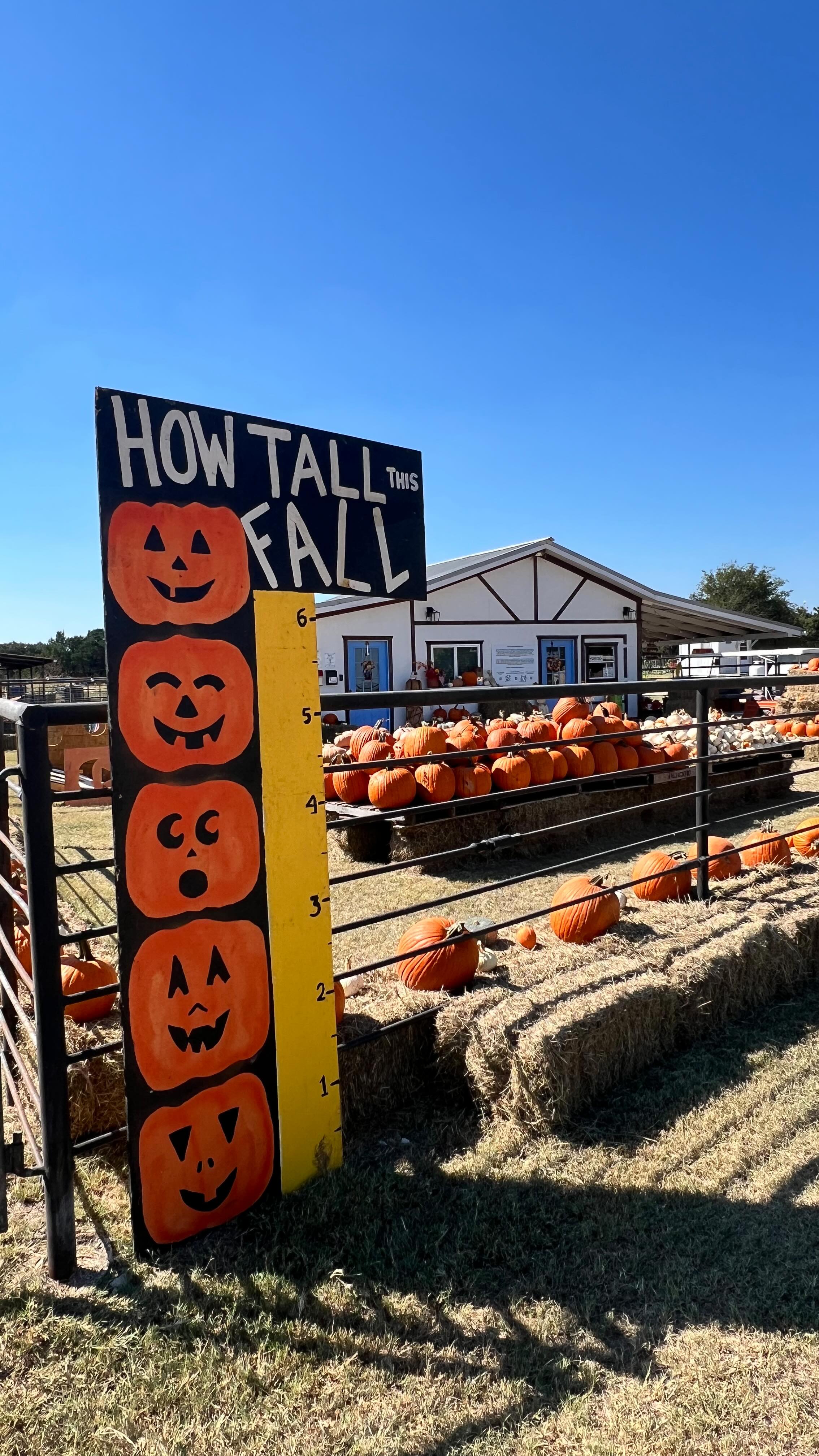 Set up the pumpkin patch with us! We’re only THREE days away from the first weekend of the Harvest Festival! Join us this Saturday and Sunday between 11am-7pm for some good old fashioned family fun celebrating the fall season! 🎃🍂🍁