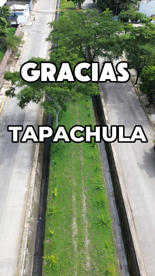 Un 16 de Diciembre hace 1 año inicio un esfuerzo titánico de la ciudadania, Polinizadores Urbanos y autoridades municipales y estatales.....
#polinizadores #educacionambiental #biodiversidad #jardinespolinizadores #tapachulachiapas