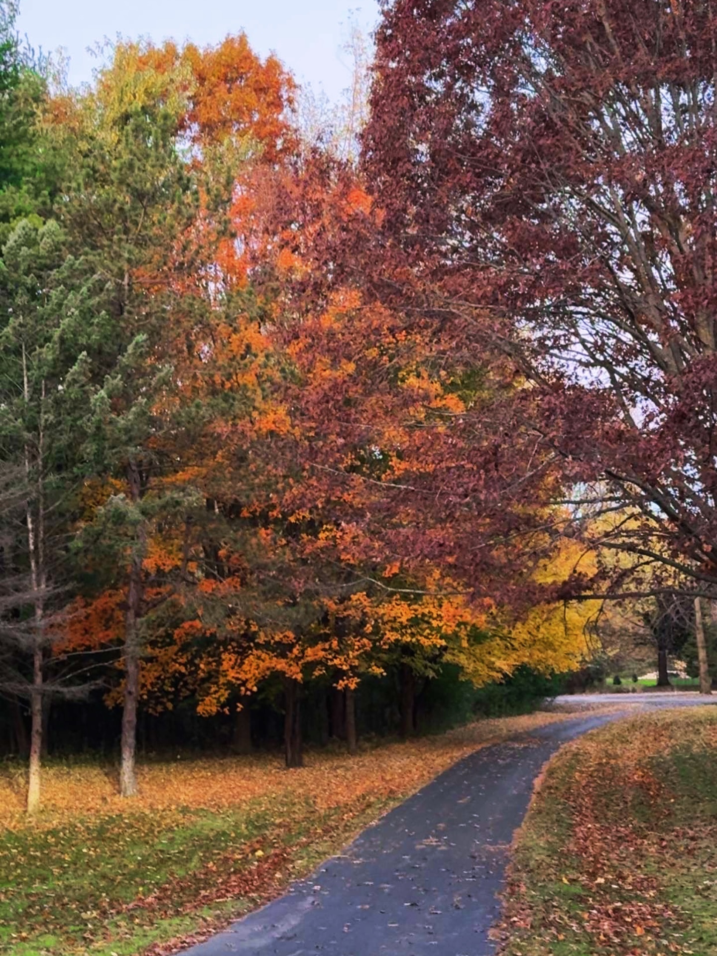 Good morning from Van Acres on this chilly autumn morning.