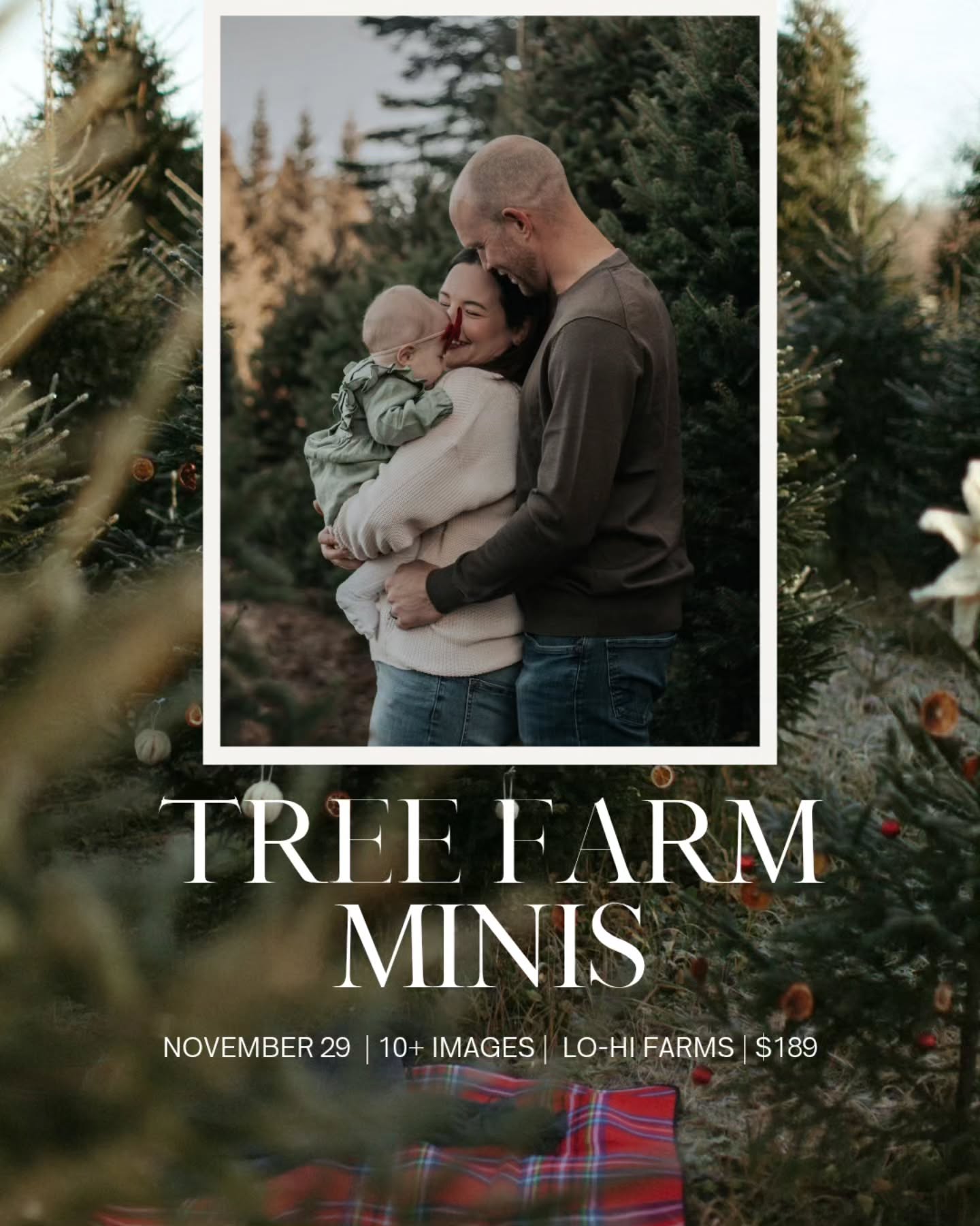 🌲 Christmas Tree Farm Minis 🌲
I’m back at @lohifarm this season, capturing love, laughter, and a little Christmas magic.
Just between Fredericton & Saint John — the perfect place for your family’s holiday story. 🎁
Click the link in my bio to book yourself in - I only require a $50 deposit to secure your booking with a new extended family add-on options for more time!