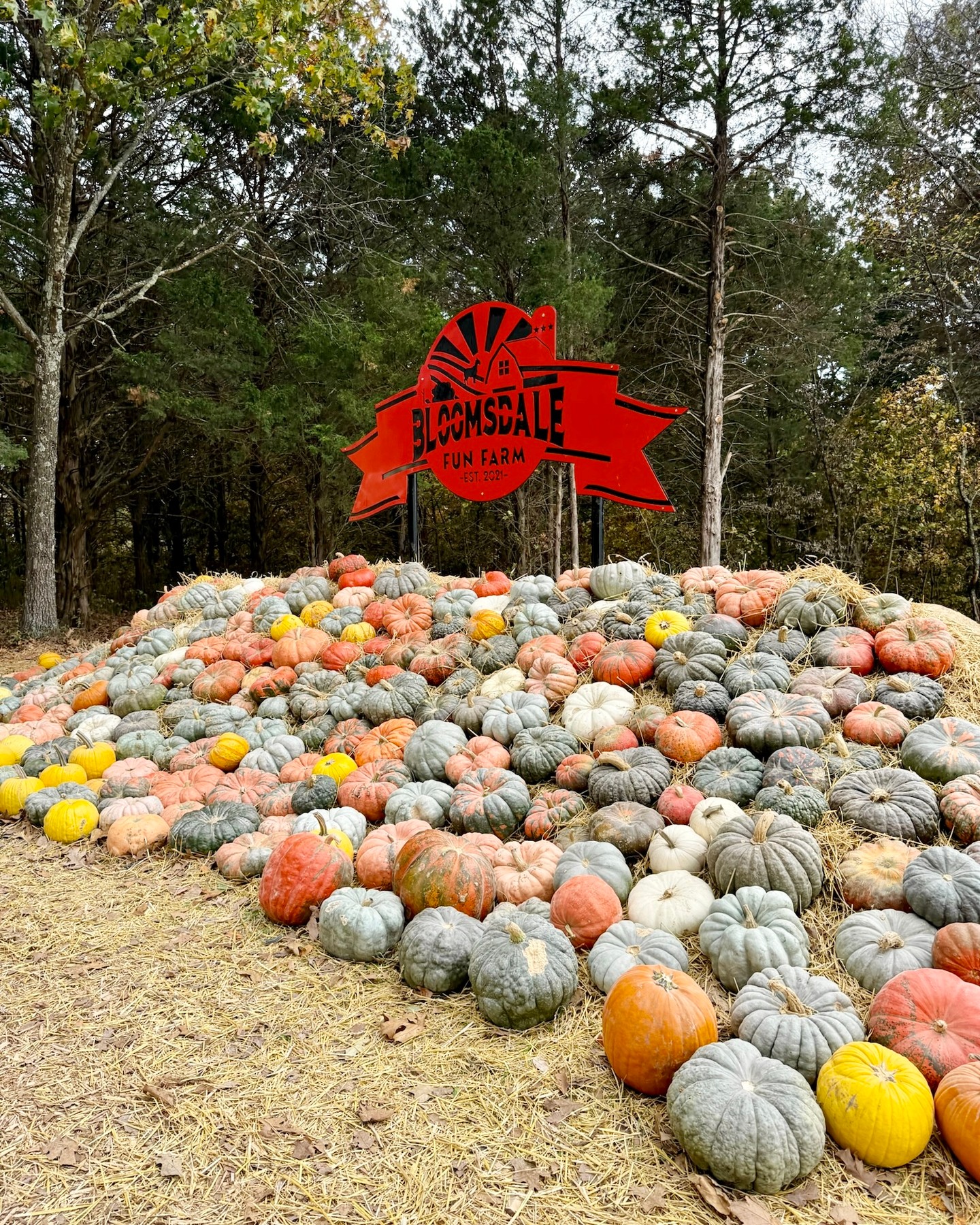 Fall temps & vibes have hit the farm. Today is a GREAT day to be at Bloomsdale Fun Farm. 💛