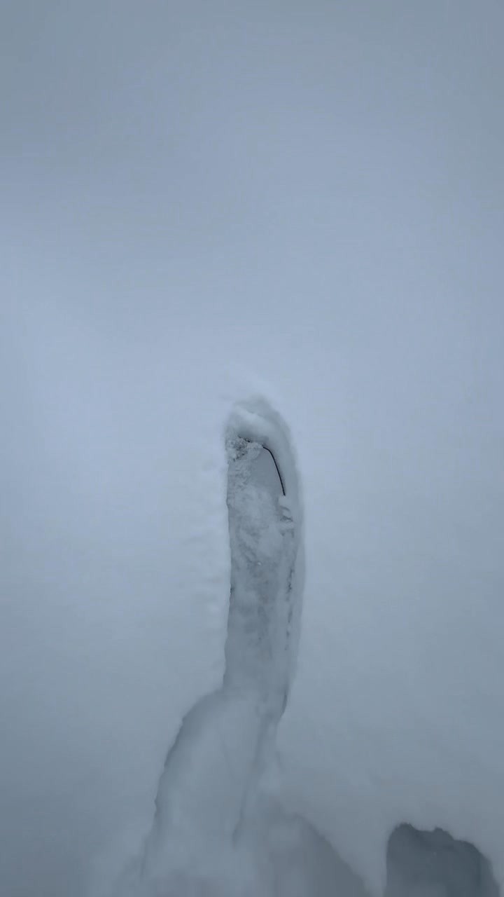 Hoping the farmers are right and we’re in for another season of this!!!!
We have spaces get in touch to plan your adventure. #splitboardingistheanswer #mountainsarecalling #backcountryskiing #earnyourturns #backcountryskiing #splitboarding