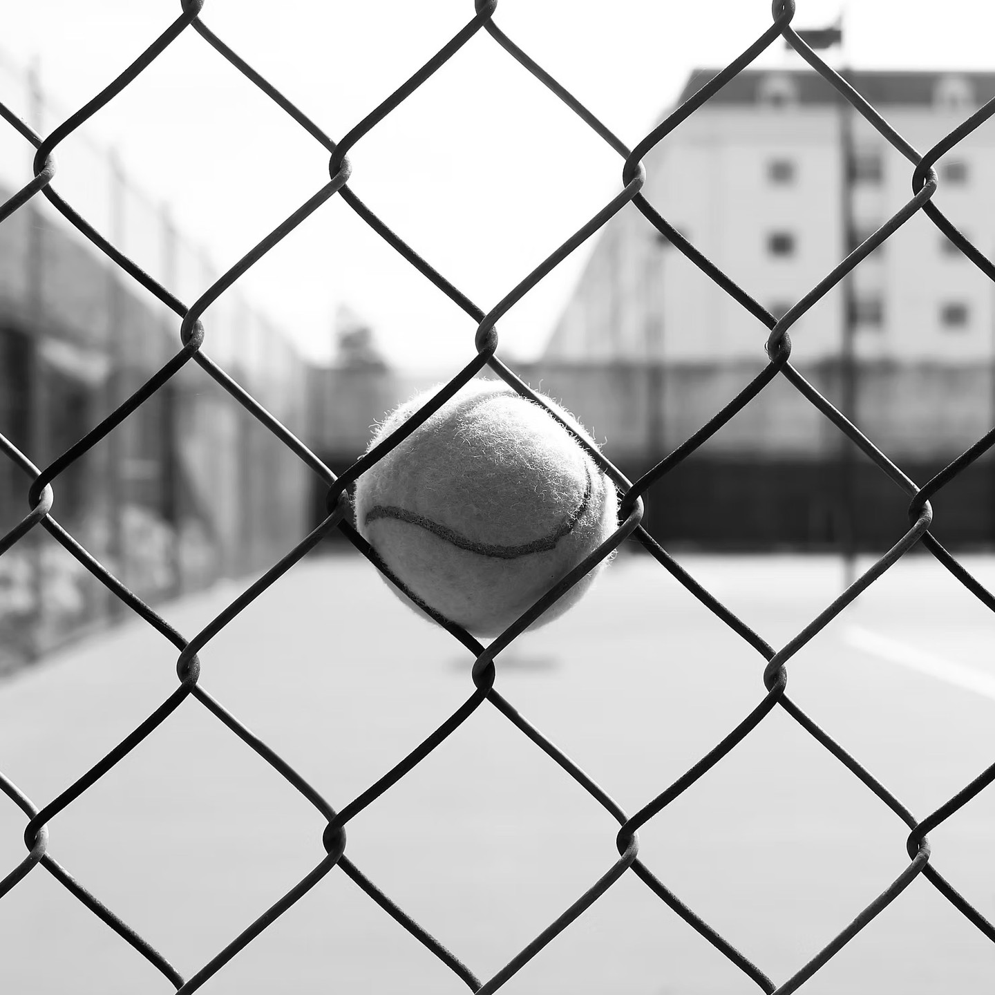 Have you ever stood at the edge of your comfort zone, heart racing, palms sweaty…wondering, “Can I really do this?” I’ve been there too! That’s the moment your soul whispers, “Go on. There’s more in you than you think.”
The truth is: Most of us set up invisible fences around our potential. We assume, “This is as far as I go.” But what if that fence is just a suggestion, not a fact?
Every time I’ve dared to take just ONE STEP beyond what I thought possible, I’ve discovered a whole new world of strength, creativity, and opportunity. Limits? Ha! Turns out they’re just the starting line.
Today, I invite you: Where can you lean in and stretch just a little further? What dream, goal, or next step is calling for your courage?
Remember, on the other side of “I can’t” is “I DID.”
✨ If this speaks to you, drop a 💪 below and share how you’re pushing past your limits this week! Let’s inspire each other to grow, together.
#BraveThinking #LimitlessLiving #PushPastYourLimits #CoachingLife #donnadaytlc #letthelitebewithyou #alohabakeshop