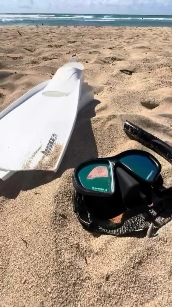 Weekend memories 🌊🐢💙
Book your snorkel tour today and make memories that will last a lifetime! 🌴🤿
#WaikikiSnorkel #HanaumaBaySnorkel #SnorkelingHawaii #HawaiiAdventures #UnderwaterHawaii #OceanExploration #TropicalSnorkeling #HawaiiSnorkelingTours #SnorkelWaikiki #HanaumaBayAdventure #MarineLifeHawaii #ExploreHawaii #SnorkelingLessons #HawaiiBucketList #HawaiianWaters #SnorkelParadise #HawaiiTravelGuide #WaikikiAdventures #HanaumaBayExperience #OceanAdventureHawaii #SnorkelFun #HawaiiVacationVibes #UnderwaterAdventure #HawaiiTours #TropicalAdventure #HawaiiSnorkelExperience #DiscoverHawaii #CoralReefHawaii #SnorkelingHawaiiStyle #HawaiiOceanLife