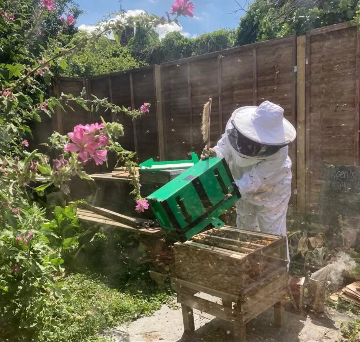 🐰🚴♀️ Tuesday is Farm Day at Phoenix Farm! 🌾
Our Active Champions are in for a treat — tasting sweet local honey, pedalling the smoothie bike to blend up fresh fruit goodness 🍓🍌, and meeting some friendly farm animals
🐇🍯
It’s a day full of fun, flavor, and the chance to make some adorable new bunny friends! 🌿✨
#FarmDay #PhoenixFarm #ActiveChampions #SmoothieBike #LocalHoney #MeetTheAnimals #HealthyFun