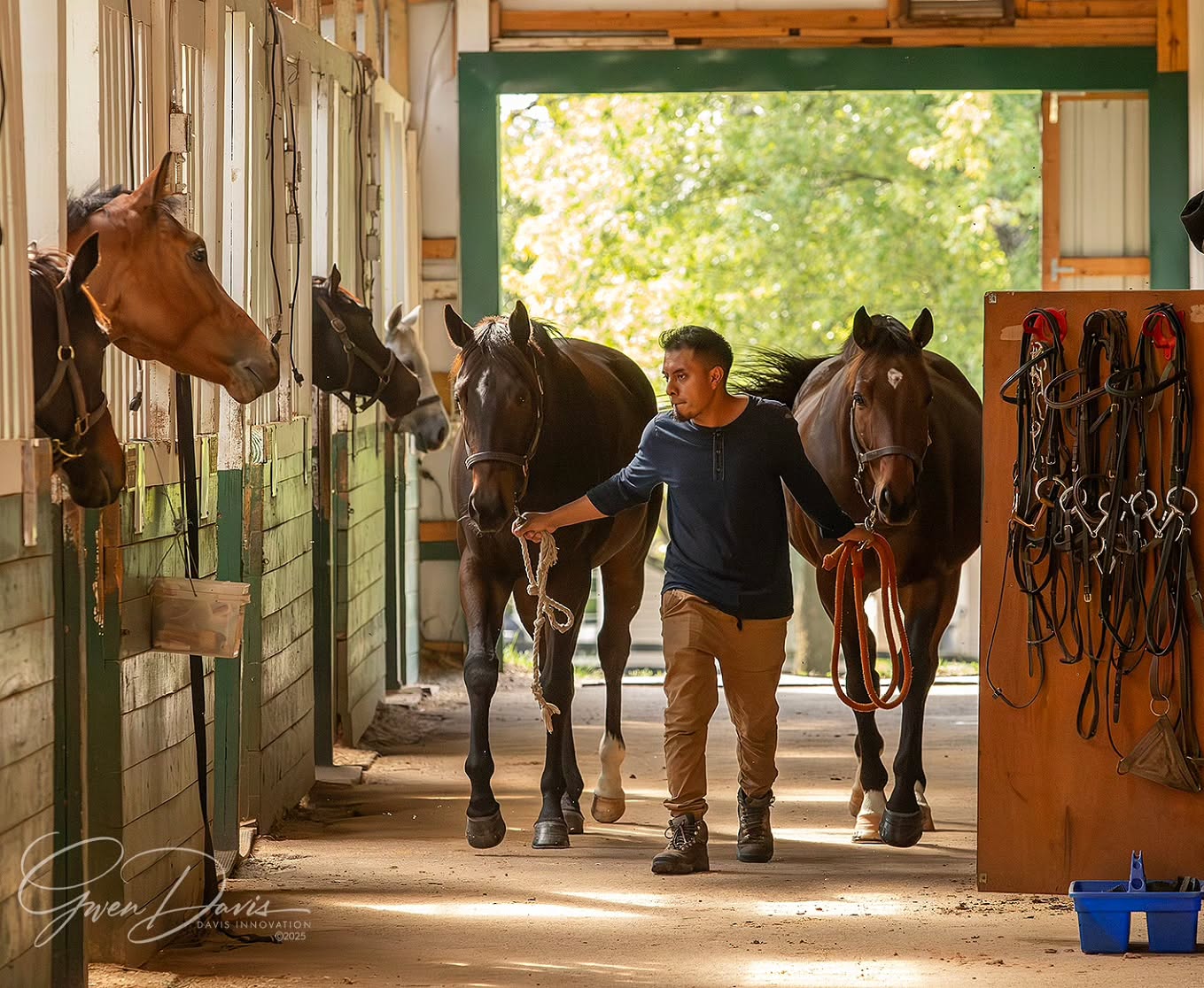 A salute to the workers in the barns, on the farms, at the track. The ones who put in the time, sweat and expertise to care for and bring up our equine athletes. 🙏❤️