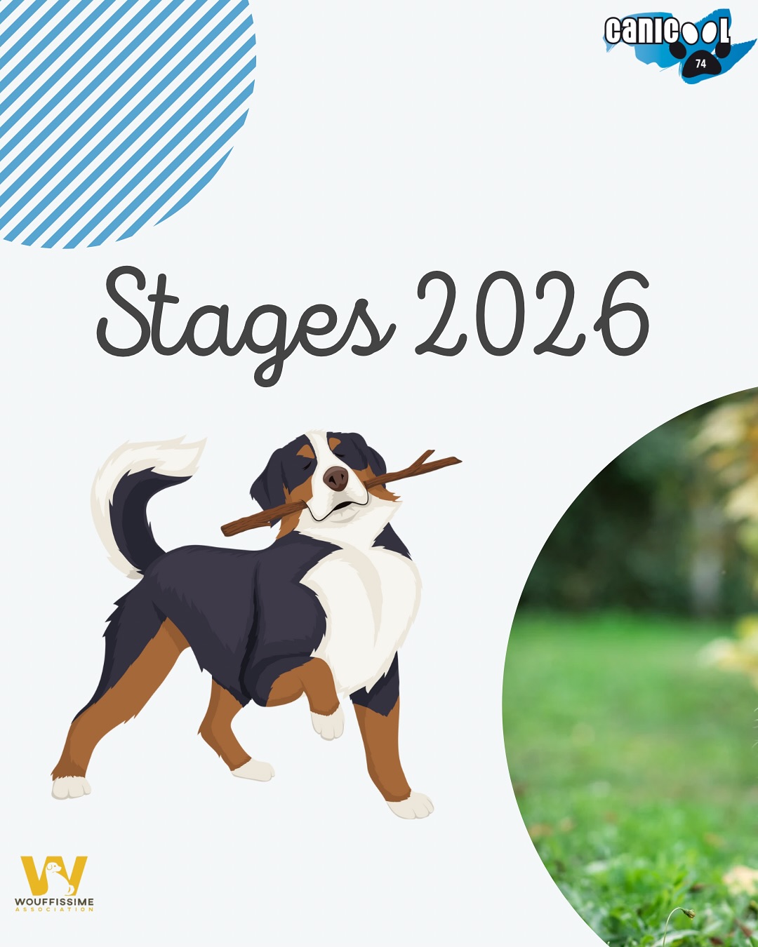 L’année 2026 s’annonce de nouveau riche en Stage et Formation !
#annecy #educationcanine #educationcaninebienveillante #educationcaninepositive #stagechien #stagecanin #wouffissime #canicool