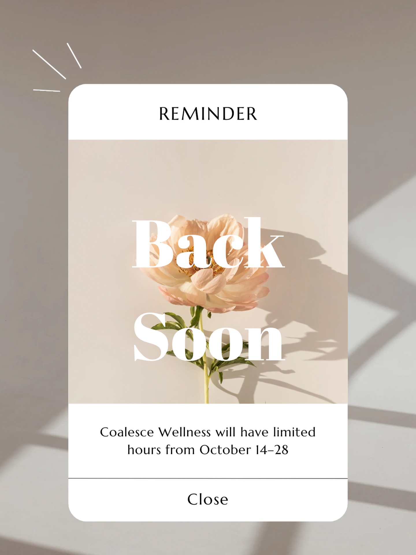 Back soon!
Coalesce Wellness will have limited hours from October 14–28 as we pause to prepare for a beautiful new season of care.
✨ Members receive priority scheduling during this time, and all memberships will be rolled over to ensure you don’t miss any of your sessions or benefits.
Thank you for your patience and continued support, we can’t wait to see you when we return.