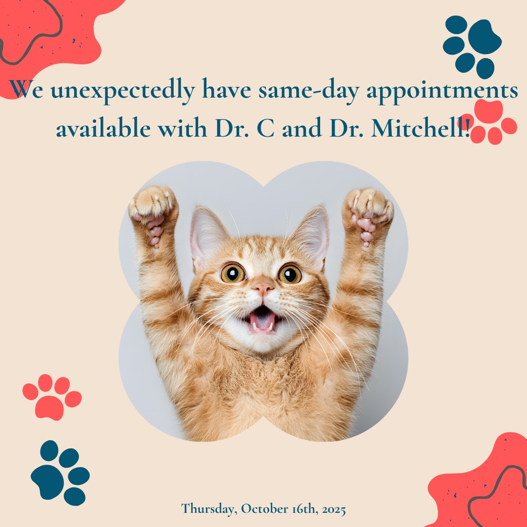 Dr. C and Dr. Mitchell have been booking up pretty quickly and I know there were some patients hoping to get in earlier. Give us a call if that's you :)