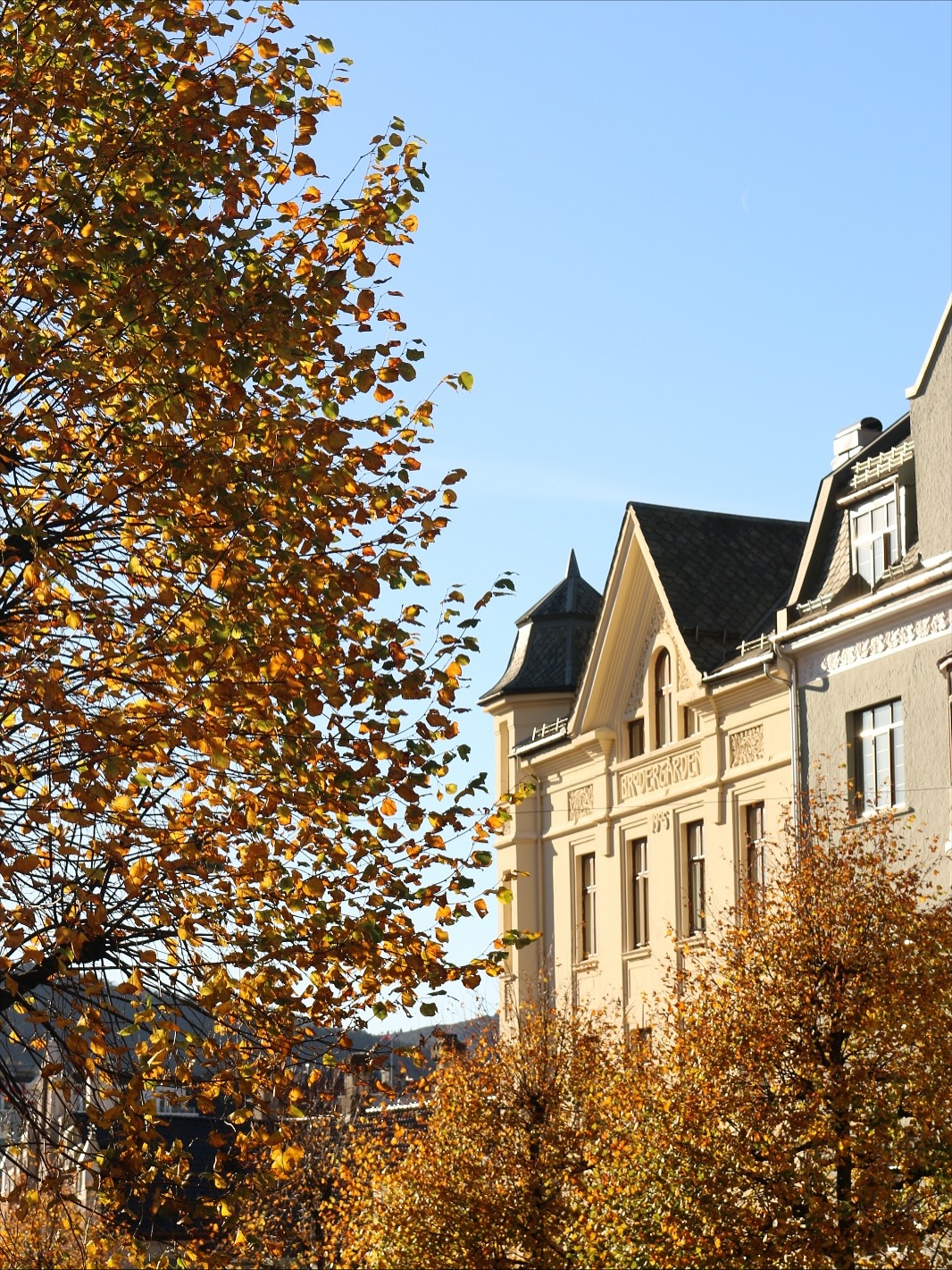 Bergen is so 🍂☕️ coded #fyp #viral #norway #bergen @bergen