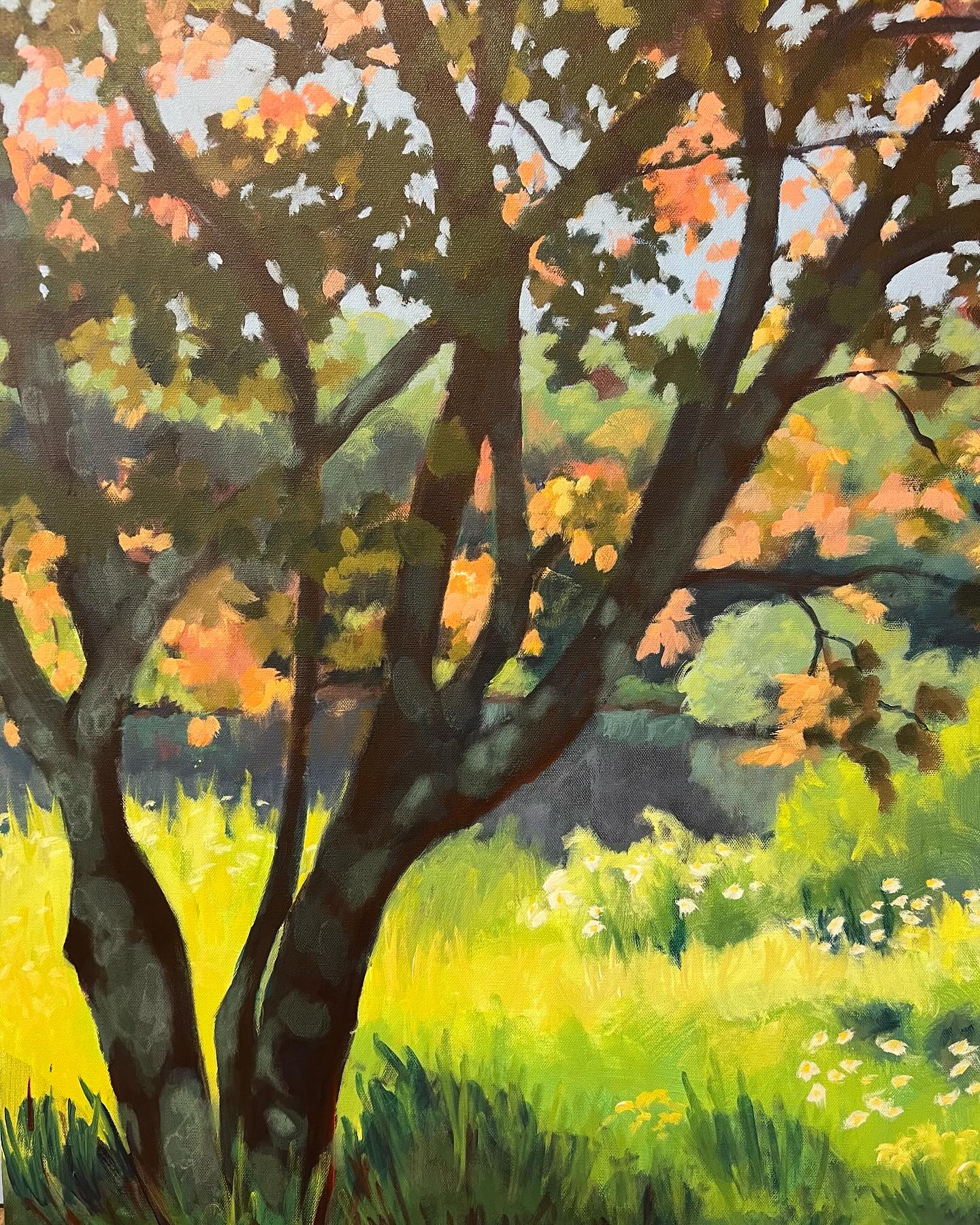 Looking through the maple tree, across the field of wild flowers, to the pond. A summer memory on a fall day.