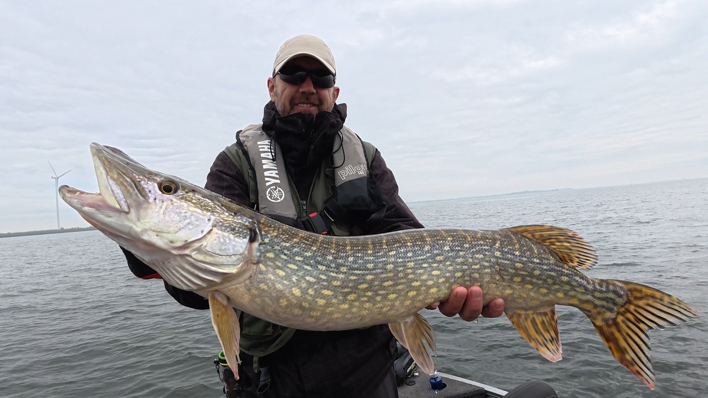 Ook het water op met Lure Fishing Guide? Boek nu—plaatsen beschikbaar vanaf 15 november. Alles daarvoor zit vol.
Click the link in bio.