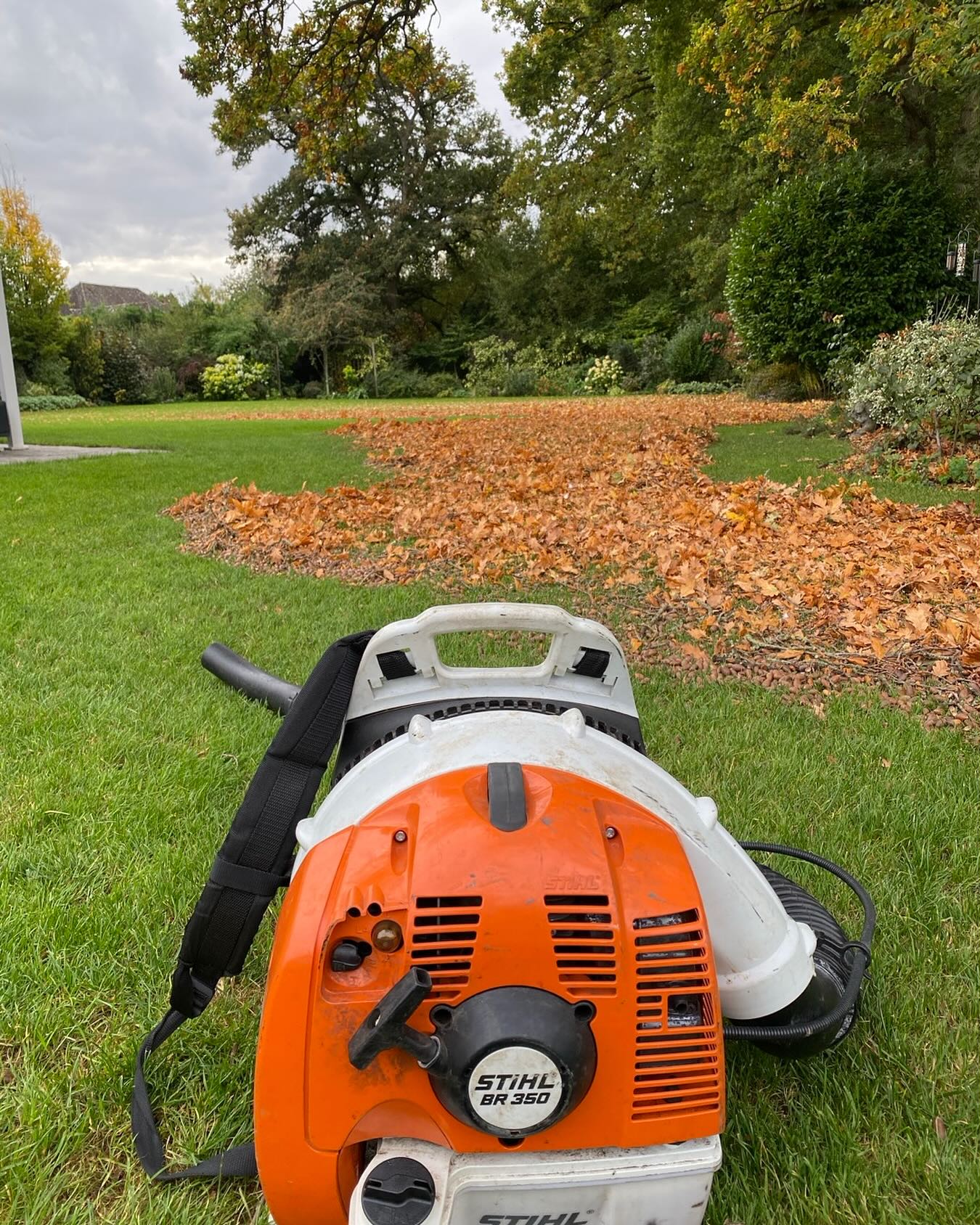 Thanks @stihlgb, backpack blower the only tool that can get the carpet of acorns from beneath the grass on this beautiful lawn we look after! #leafseason #mastyear #acorns #beautifullawns #merlinlawncare