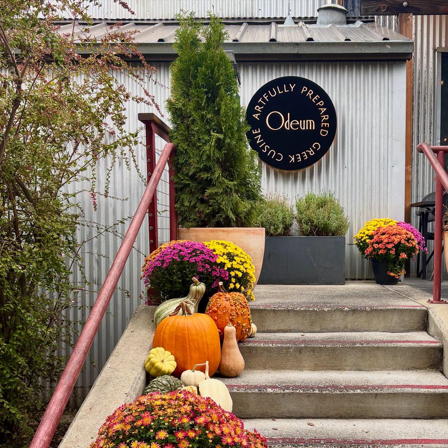@odeum_restaurant is ready for the autumn season here at The Granary! 🍂
Chef Sal brings Mediterranean flavors to life with his own creative twist offering everything from refreshing salads to hearty meats and daily specials. Whether you’re planning a casual dinner or a special night out, it’s the perfect spot. Plus, their dog-friendly patio means your furry friend can join! ✨