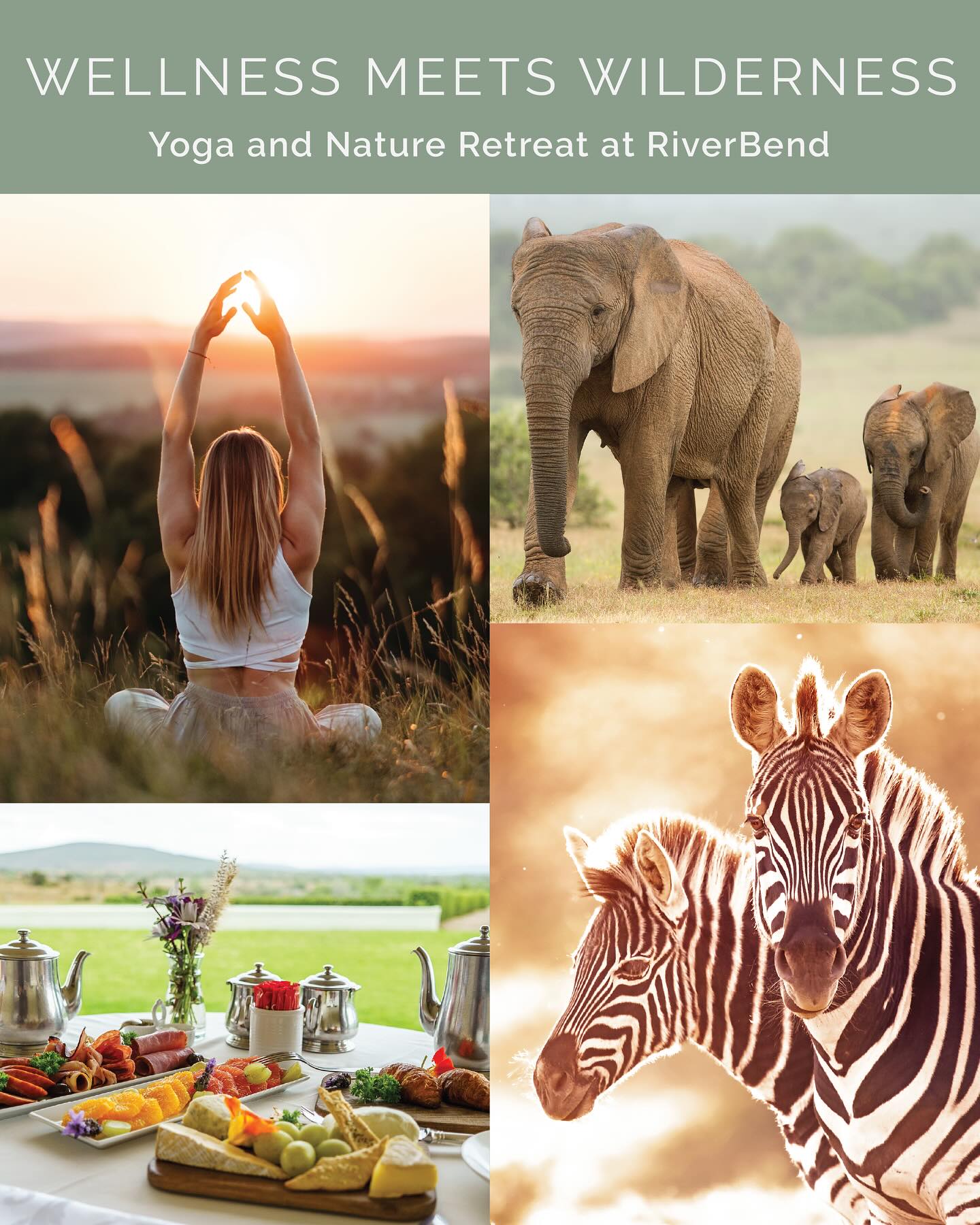 Just 72 km from Port Elizabeth, RiverBend Collection @river_bend_lodge and Inbalance Studio @inbalance.studio invite you into a private concession within the wild beauty of Addo Elephant National Park. Over four days, immerse yourself in sunrise and sunset yoga, meditation. breathwork, and mindfulness under vast African skies. Enriching cultural and historical stories are woven through the journey, complemented by sundowners on game drives and the luxury of RiverBend - creating a retreat where wellness meets wilderness in the most exceptional way. For bookings visit inbalance.net.za or riverbendcollection.co.za