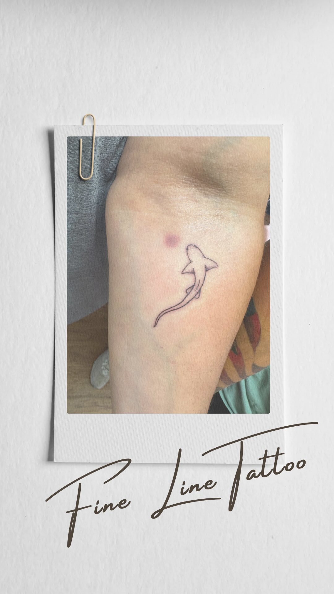 Never. Stop. Swimming. 🦈
Bestie starts @an.arch.above