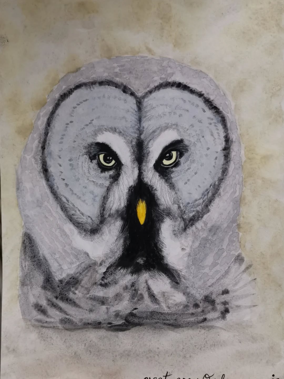 The Great Grey owl
Day 17 #Birdtober2025 #birdtober
This year I'm using watercolor, neocolors II, pastel and pencil crayons, charcoal, and gelly roll pens. Whatever floats my 🐦
I'm working on Clairefontaine watercolor paper 5.8x8.3" (A5) cold press paper.
@aholmesartstudio #ilovebirds #bird #birdartist #birdart #birddrawing #birdpainting #birdillustration #birdnerd #birbs #painting #drawing #illustration #birdchallenge #watercolorart #watercolorpainting #pencilsketch #fabercastell #clairefontainepaper
