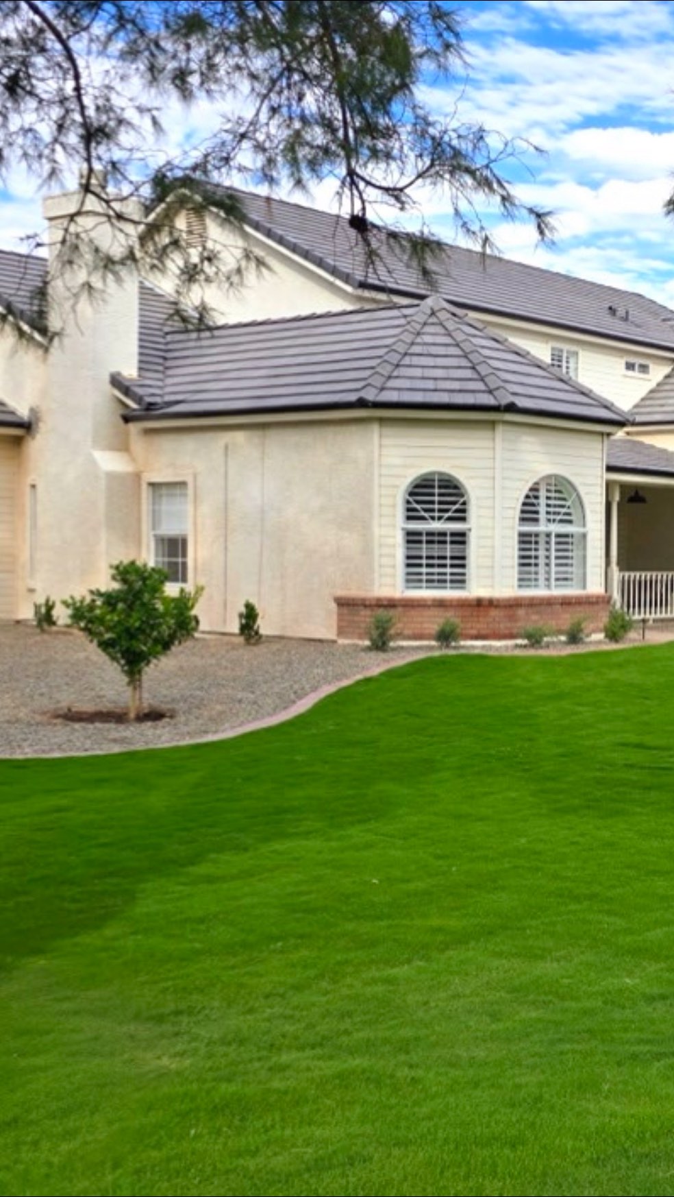 #beforeandafter #glowup #landscape #landscaping #arizona #arizonaliving #sod