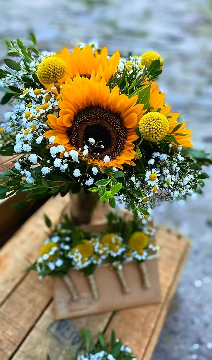✨Mariage n°2 — 09 août 2025 ✨
Une véritable guinguette d’amour dans leur jardin ! 💛
Bravo à mes merveilleux mariés qui ont transformé leur jardin en un lieu magique et chaleureux, où chaque détail respirait la joie et la simplicité chic.
Pendant un instant, on aurait aimé que le temps s’arrête — juste pour rester un peu plus longtemps dans cette douce ambiance d’été, entre rires, lumière et fleurs. 🌿✨
Côté fleurs :
💐 Bouquet de mariée champêtre
🌻 Boutonnières & bracelets fleuris
🌾 Décos des bancs d’église
🌼 Bouquets de table & arches fleuries (en location)
Un doux mélange de tournesols et camomilles, pour un rendu à la fois lumineux, naturel et plein de tendresse 🌻 ☀️
Une journée remplie d’amour, de rires et de cette petite touche rétro qui fait tout le charme des mariages guinguette.
#MariageGuinguette #FleursDeMariage #MariageChampêtre #DécorationFlorale #AmourEnFête #TournesolsEtCamomilles #MariageEnJardin #EspritGuinguette
