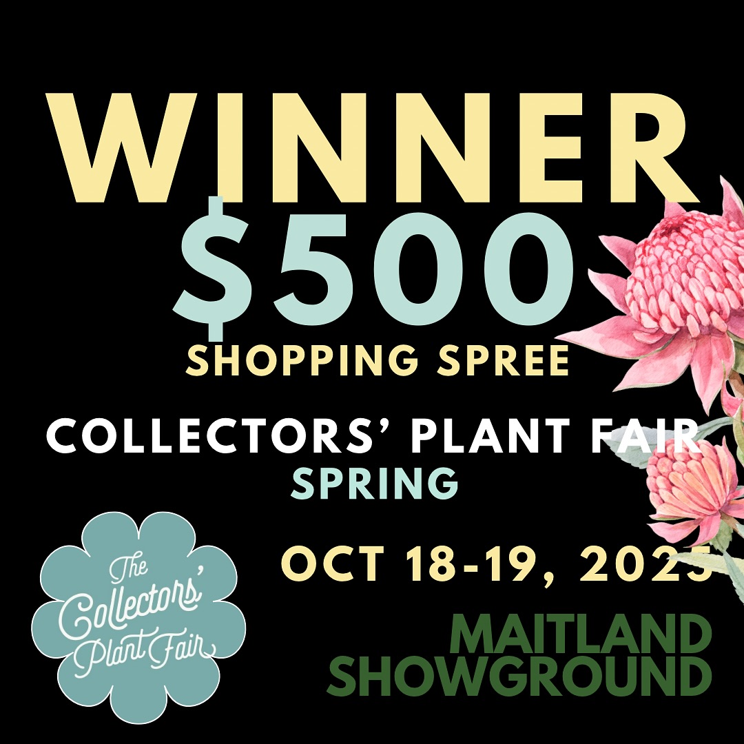 🎉🌿 We have a winner! Congrats to Luke Austin, who’s just scored $500 in Plant Fair prizes!
Luke’s a passionate gardener with a love of Nepenthes and orchids — and he can’t wait to go plant shopping this weekend! 🪴✨
A huge thanks to our amazing supporters for donating these fabulous prizes:
Two Rivers Wines • Drewitt Family Farm • Red Earth Bulbs • Andy’s Rare Plants • Susan’s Succulents • Coachwood Nursery • Gotcha Plants • Kawana Nursery • Mother Earth Nursery 💚
See you at the fair this weekend — gates open 8am sharp! 🌸