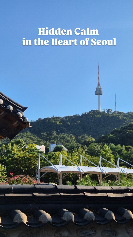 A quiet glimpse into old Seoul.
Traditional hanok houses beneath Namsan.
Where history whispers before the mountain.